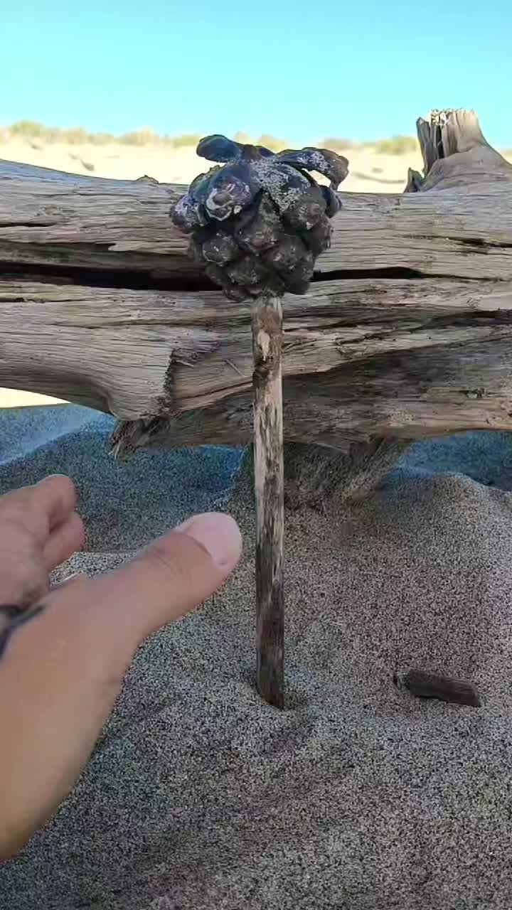 @kdsmcx