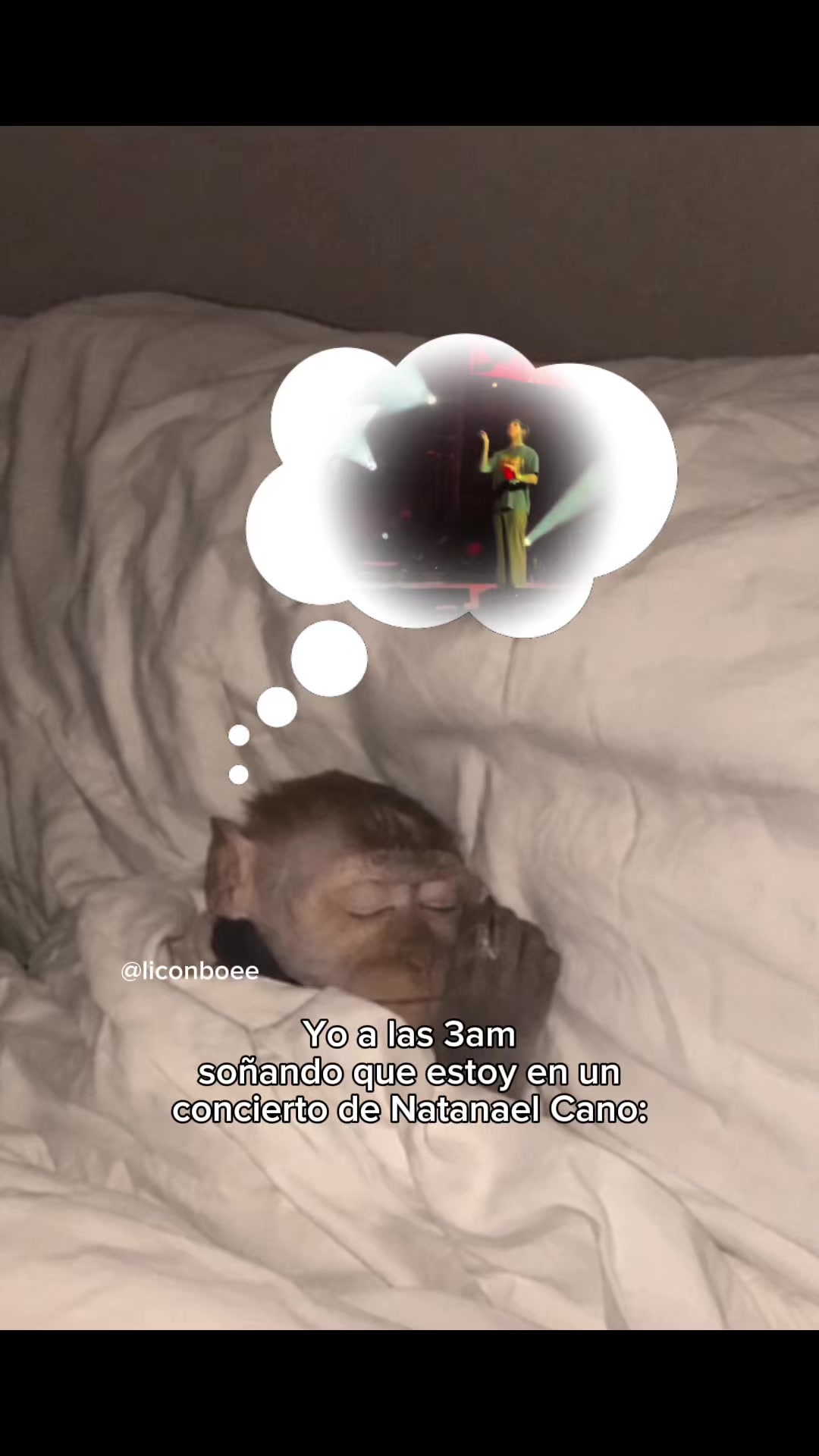 @Licon
