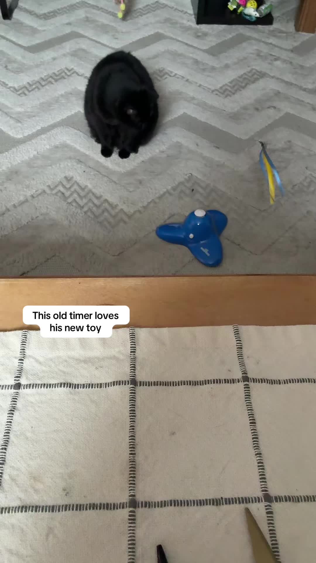 @Michelle