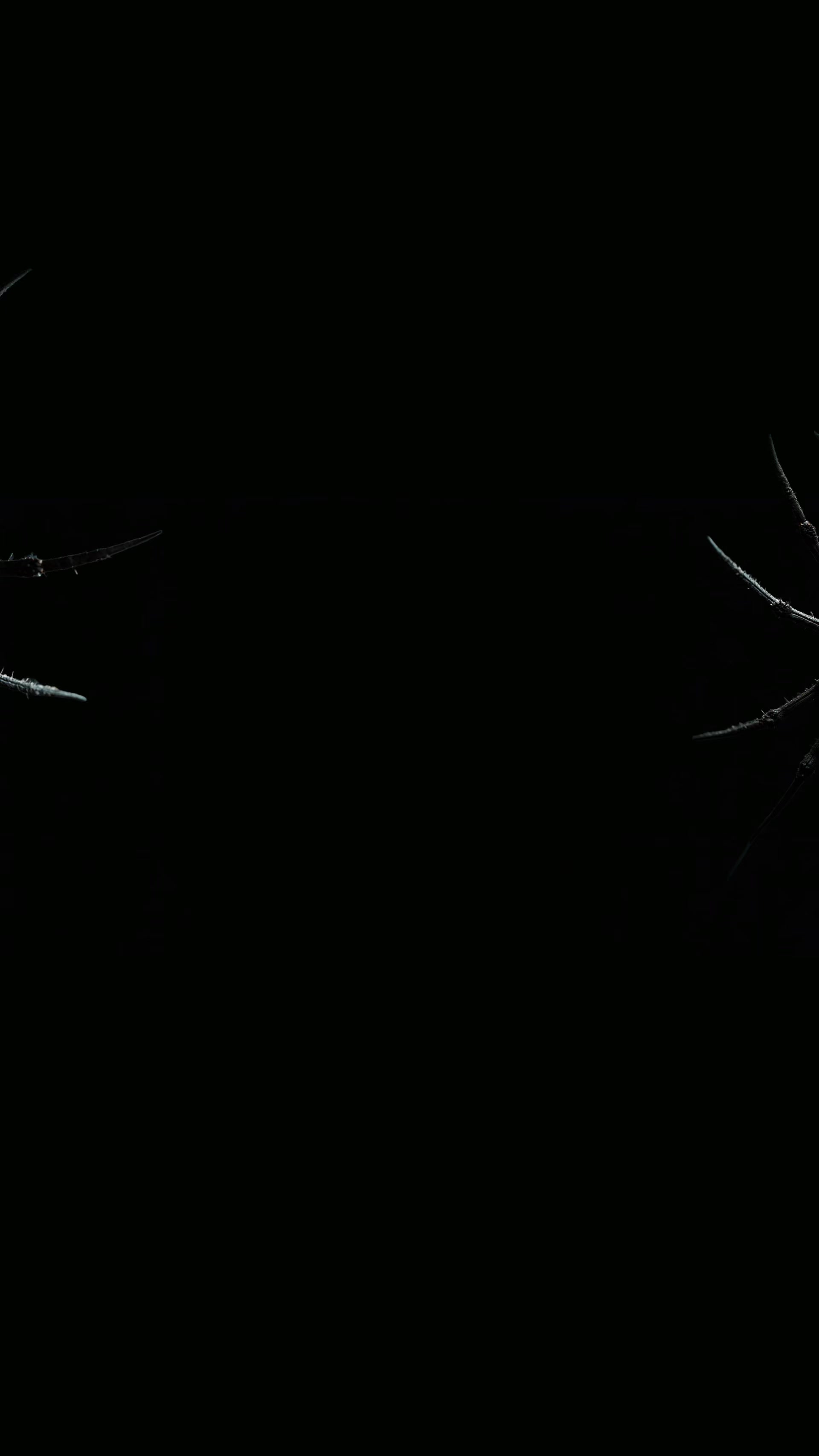 @𖤐ʜᴏʀʀɪꜰɪᴇᴅ𖤐