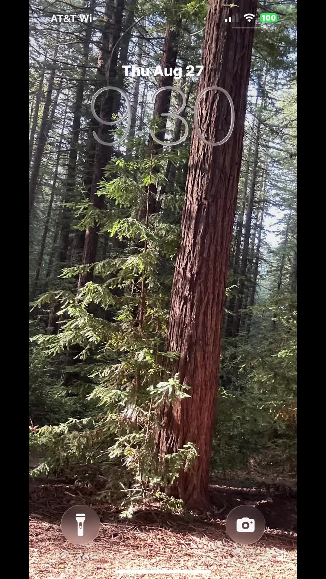 @🌲Forest Friend🌲🙏💗