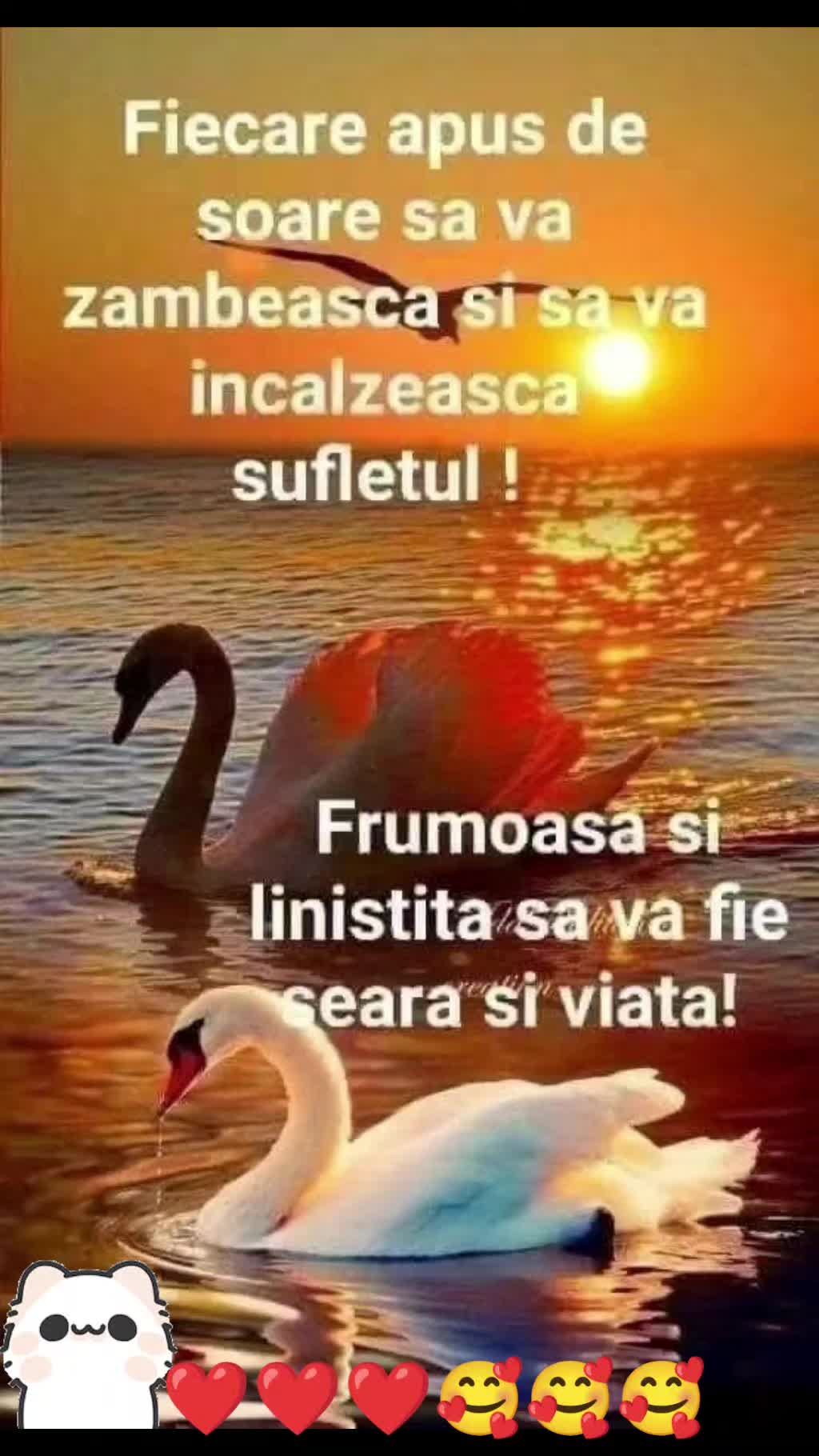 @Veronicaveronica03