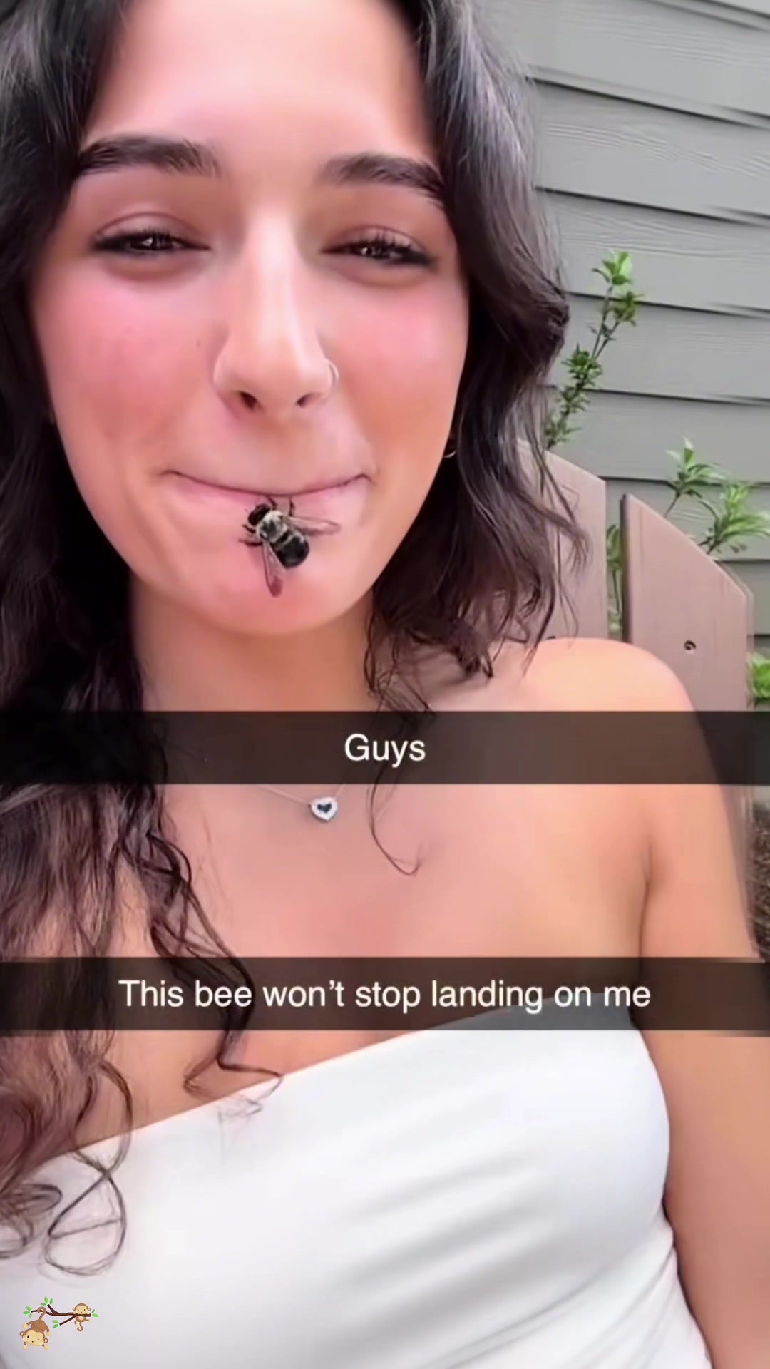 @SneakyFails