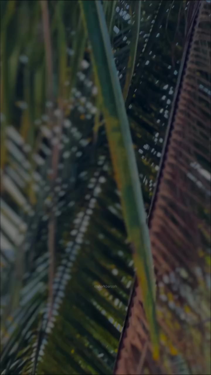 @𝓔𝓼𝓱𝓾𝓾 🎀!"