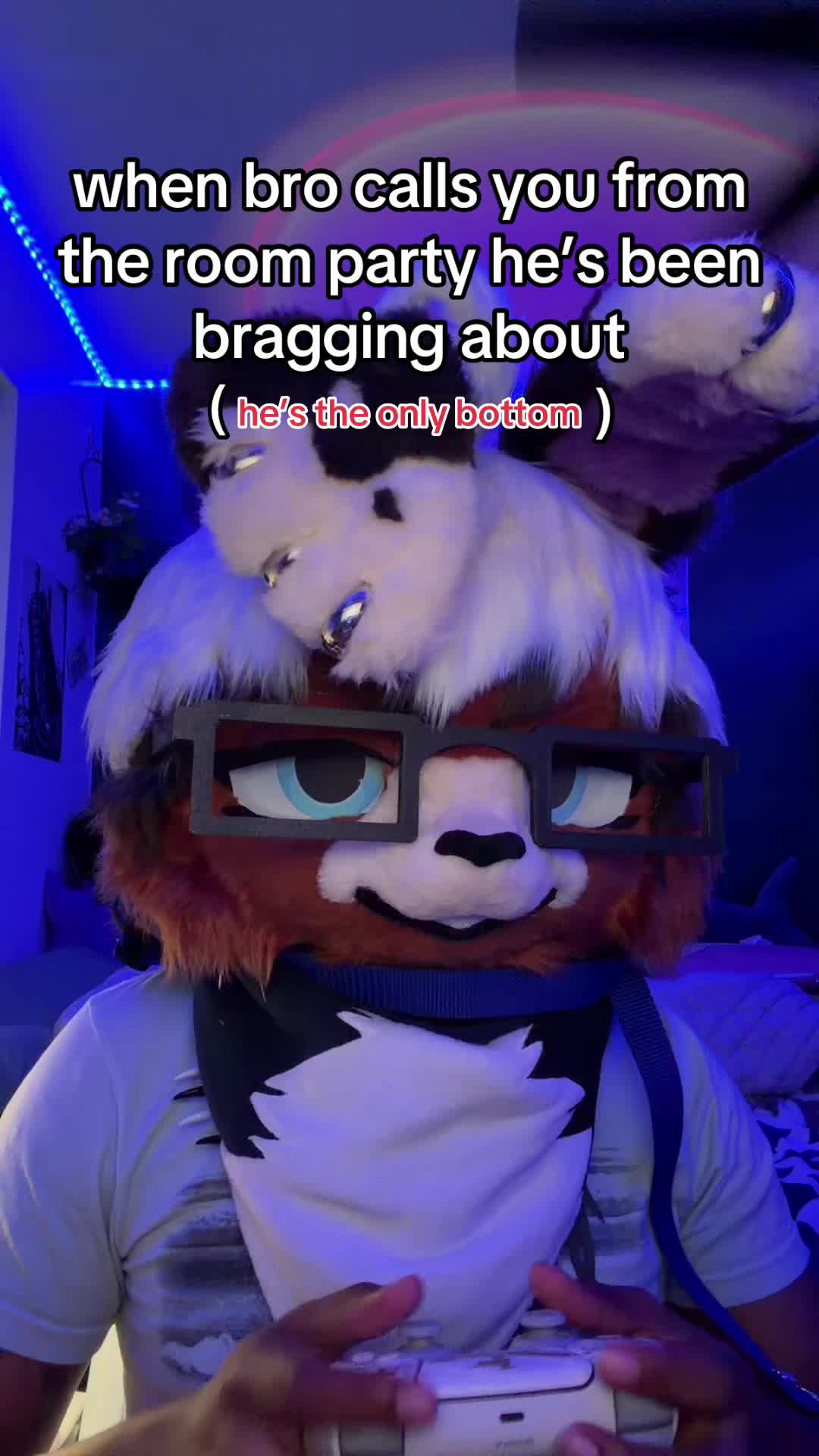 @wai.thebunny