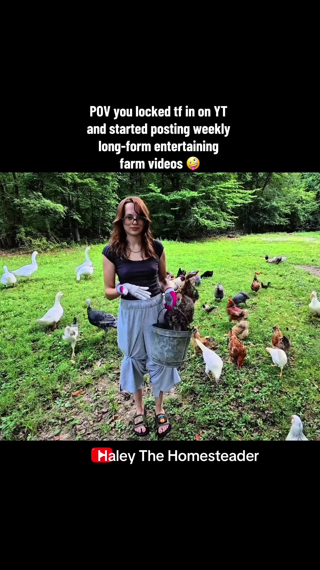 @Haley The Homesteader