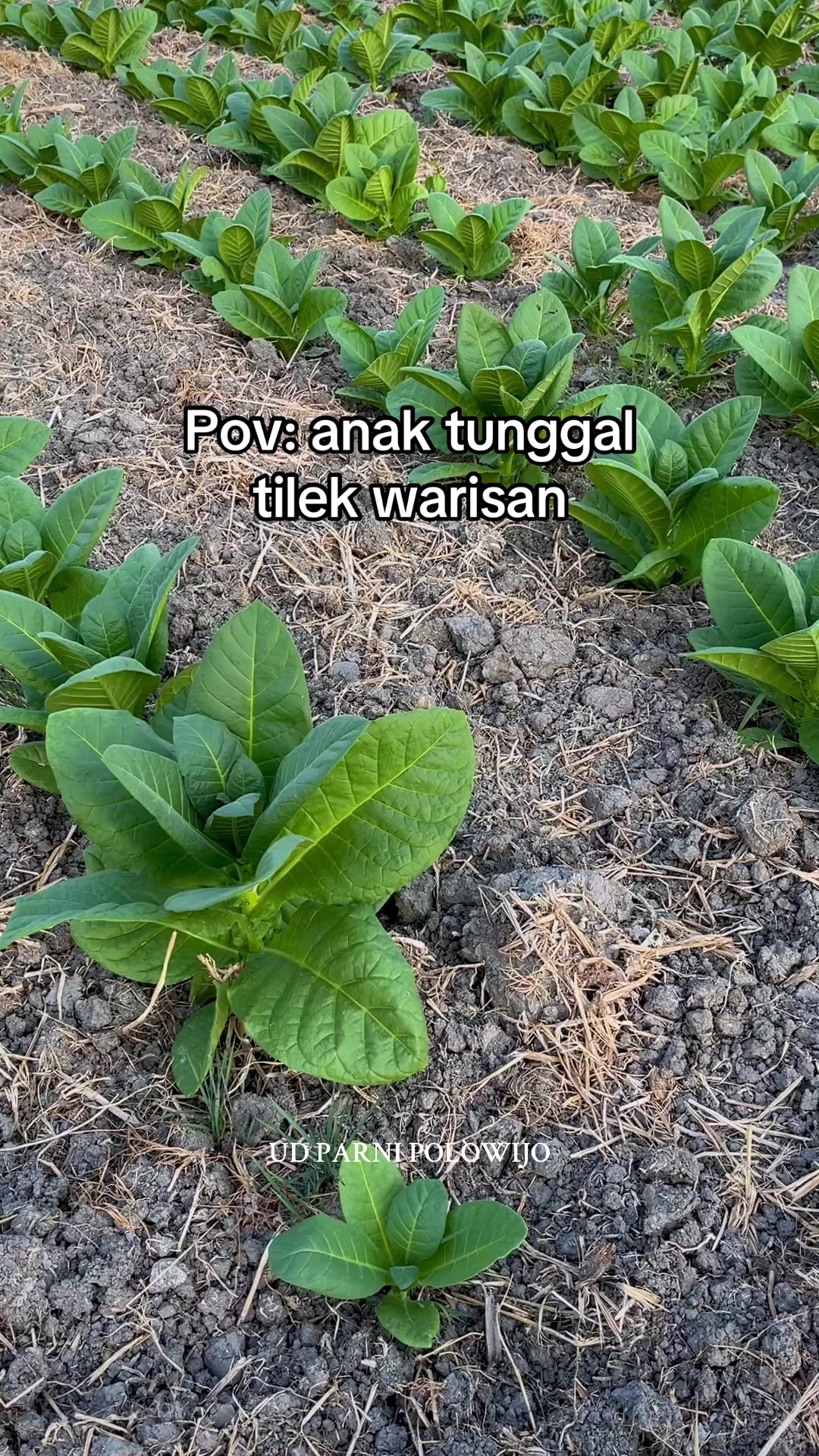 @𝐔𝐃 𝐏𝐀𝐑𝐍𝐈 𝐏𝐎𝐋𝐎𝐖𝐈𝐉𝐎