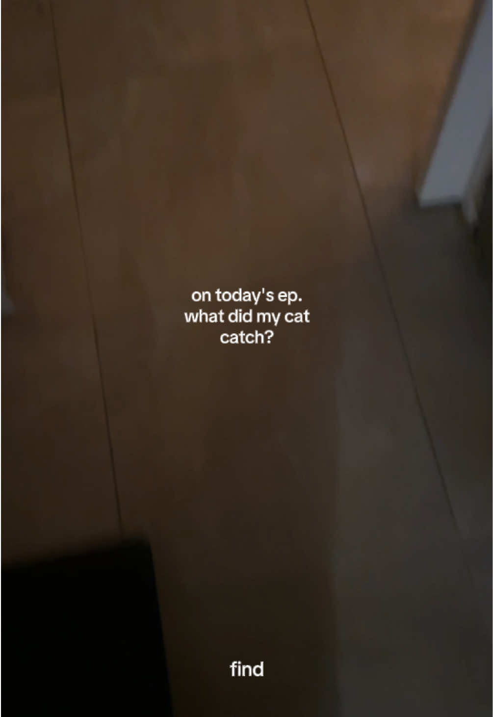 @itszenahyx