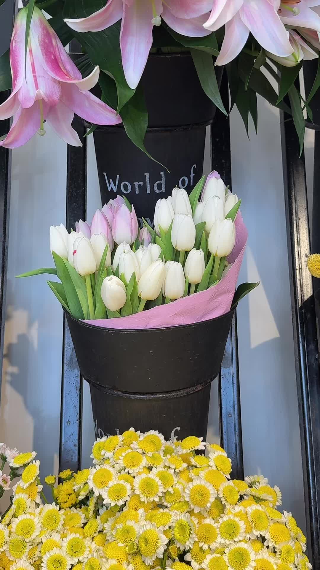 @مولي للزهور