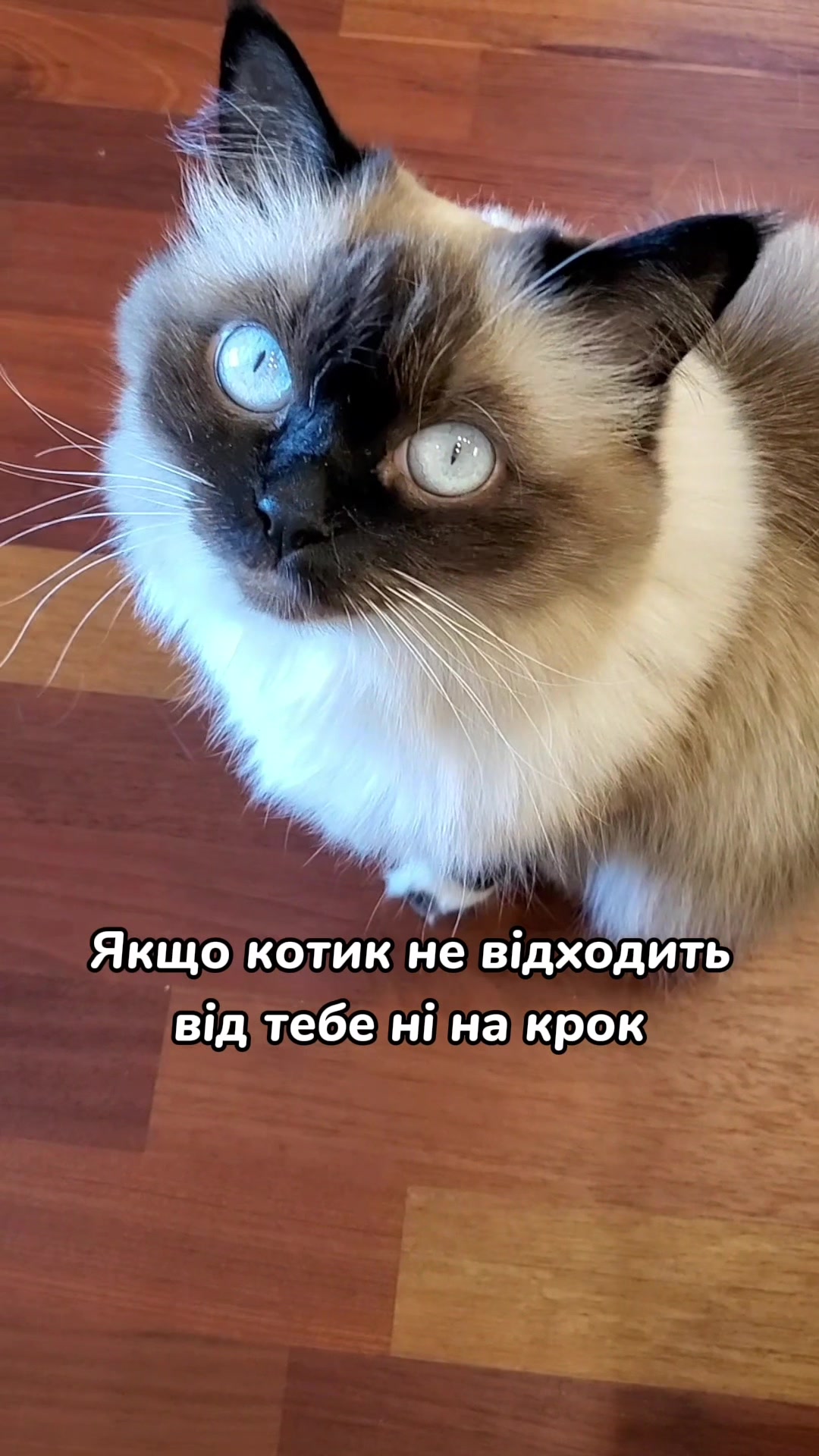 @Місс КІСЯ