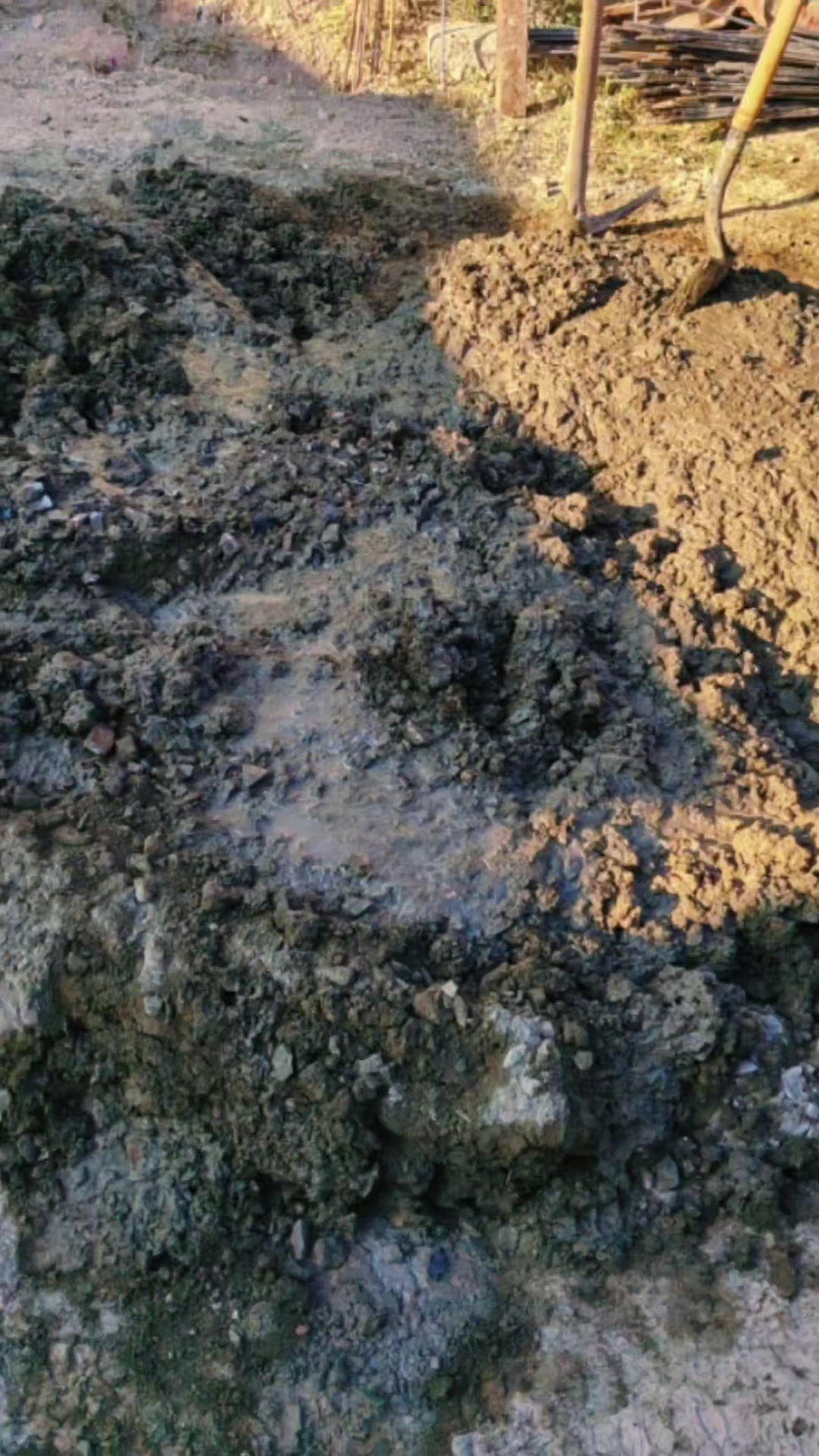 @Luiis Macias