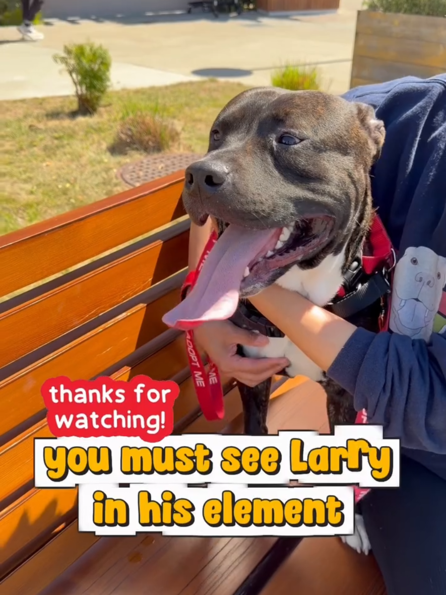 @Oakland Animal Services