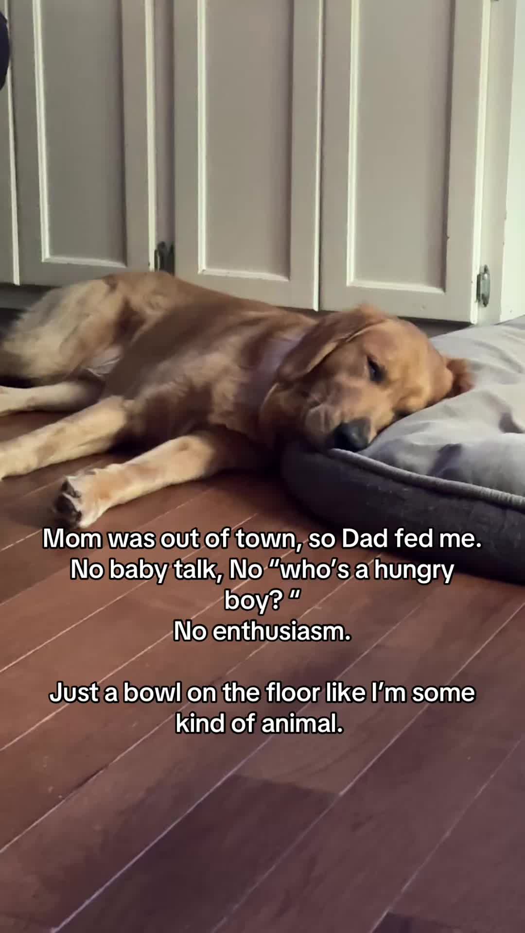 @Charlie the Golden