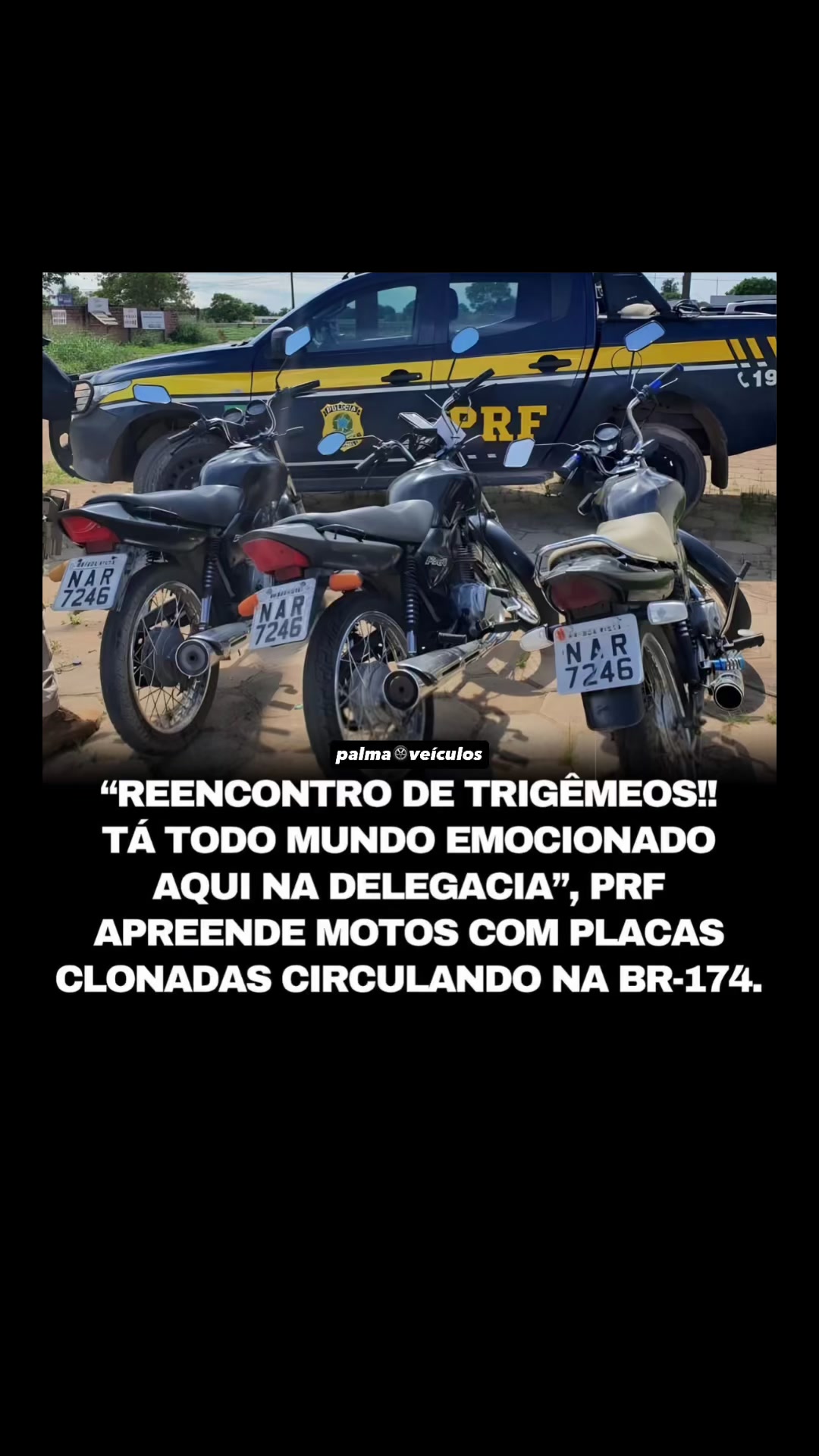 @palmaveiculos