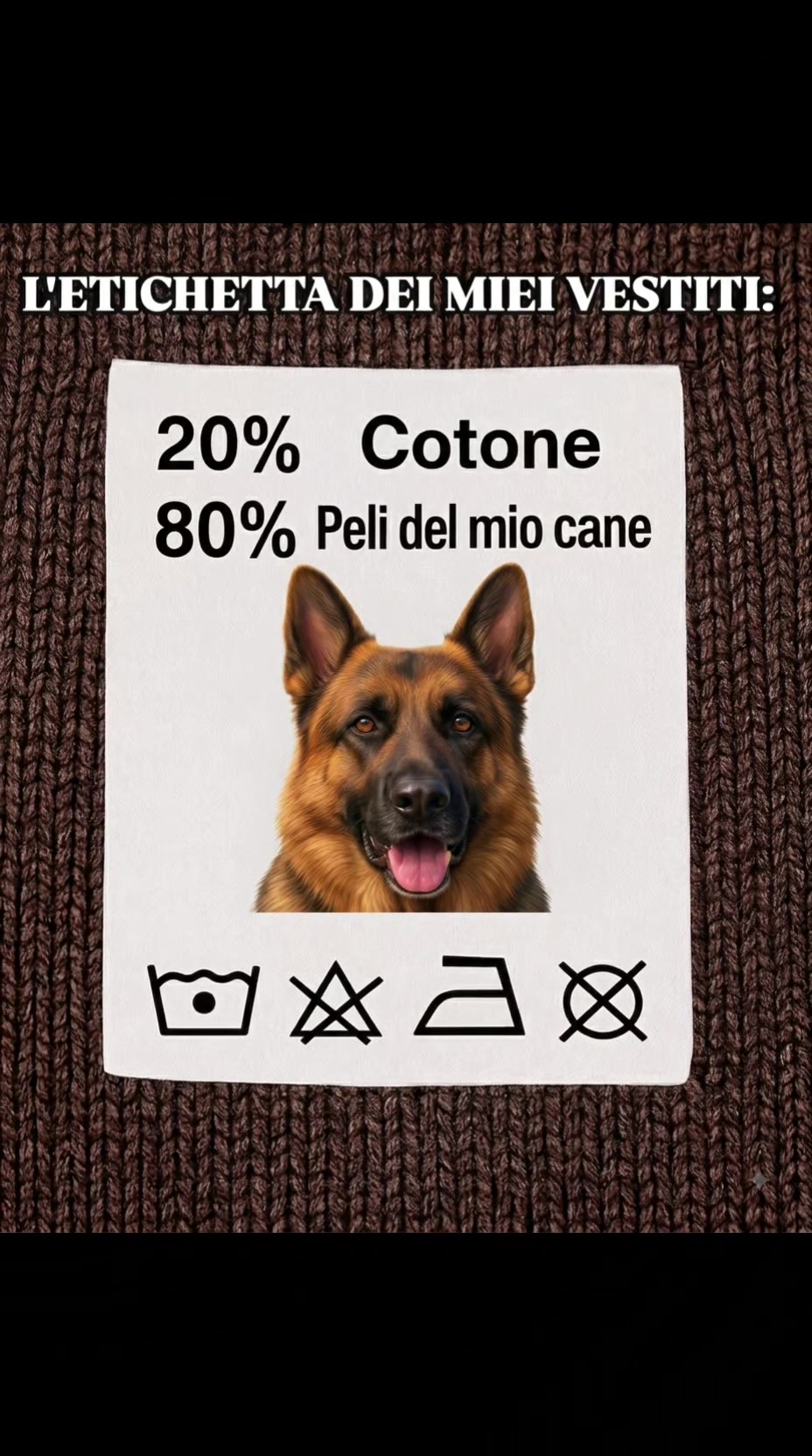 @Ale4Pets