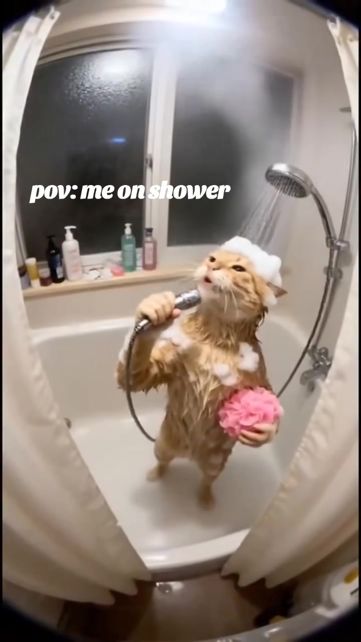 @miki