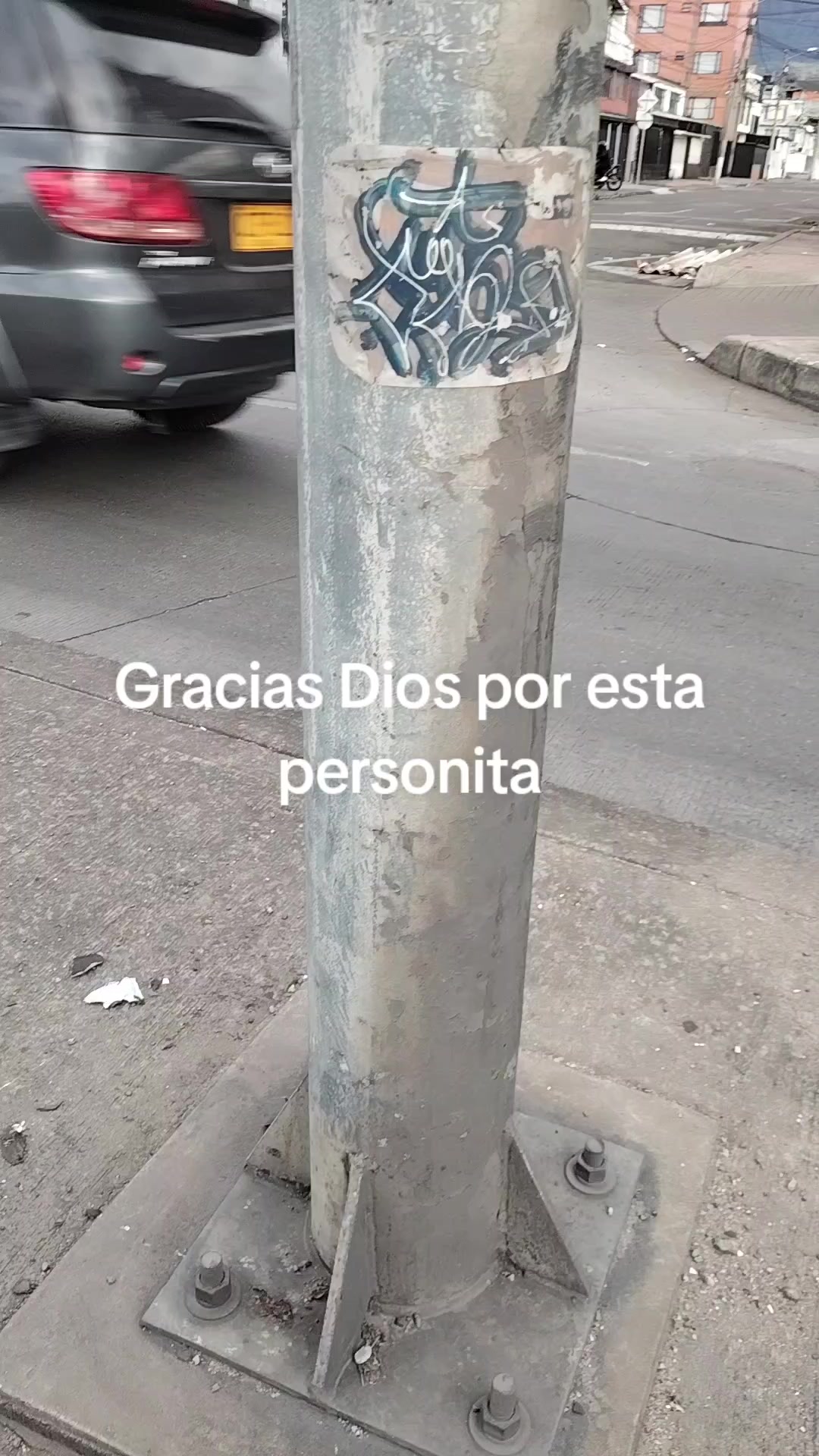 @el turpial del valle HM