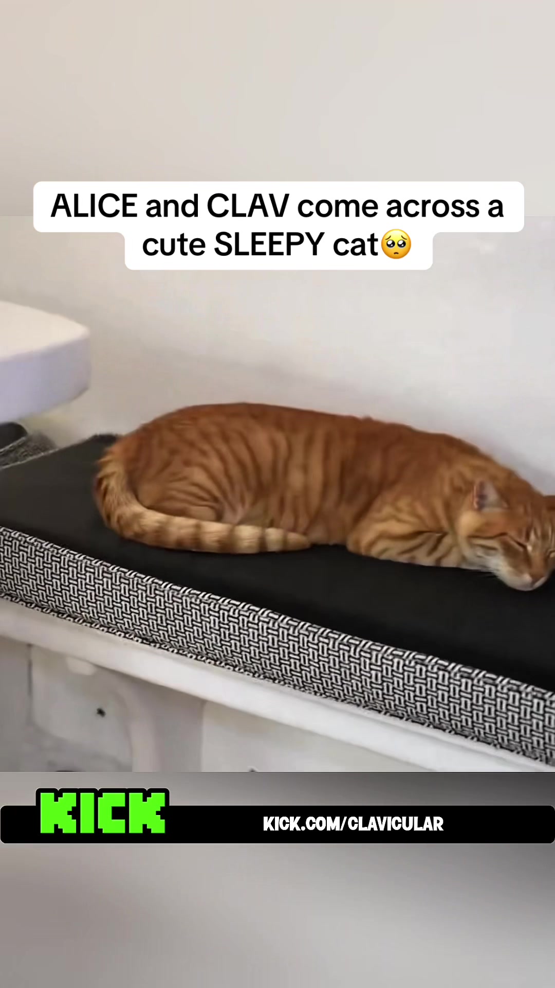 @alldayclips_fy