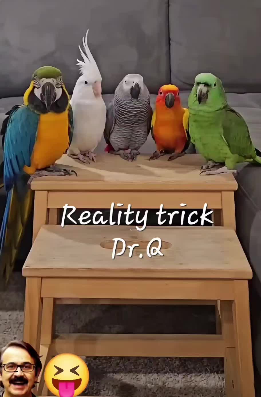 @doctorQ