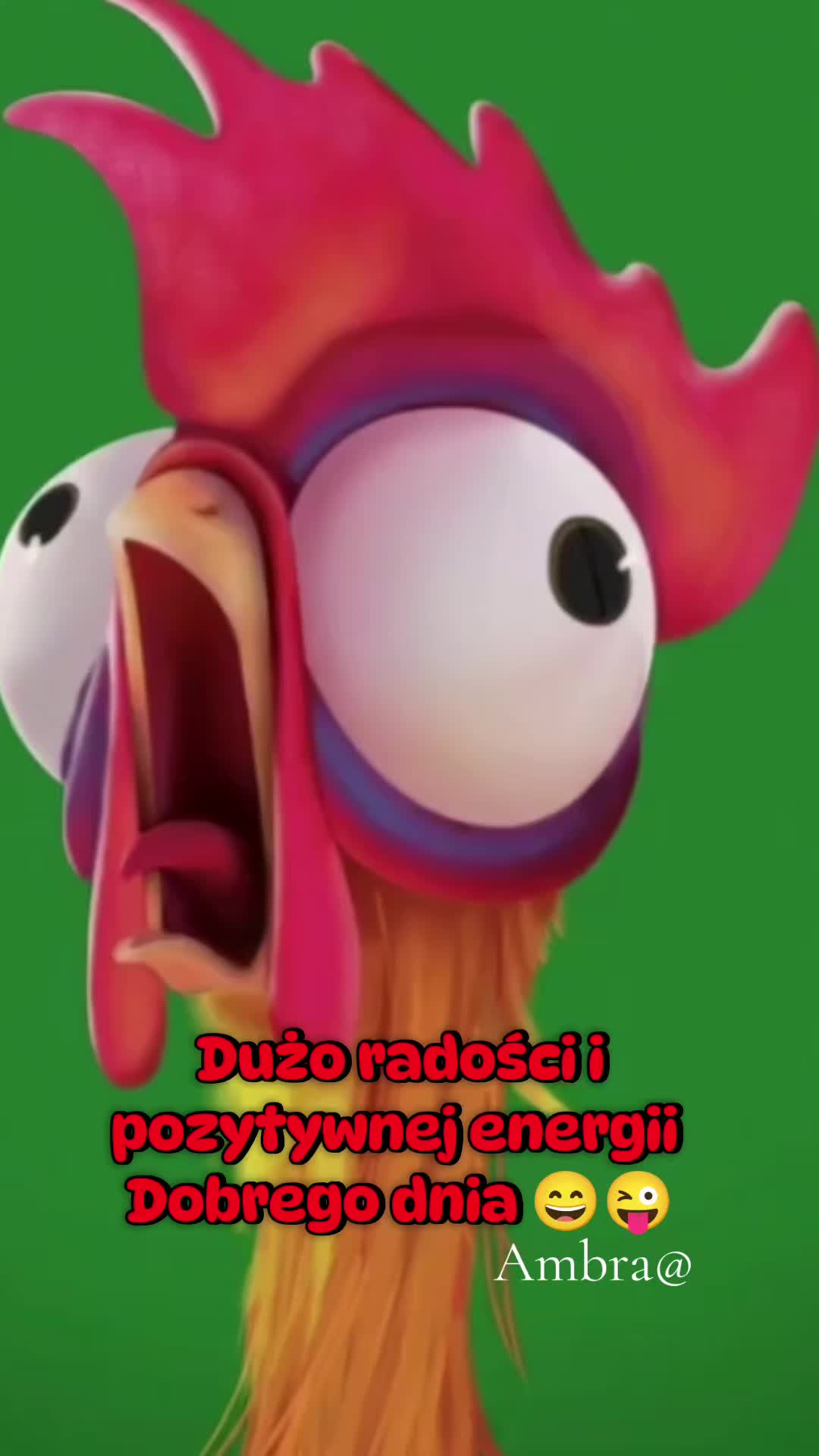 @Ambra@