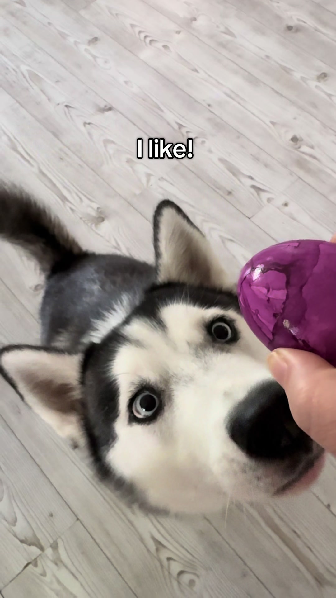 @hhsol