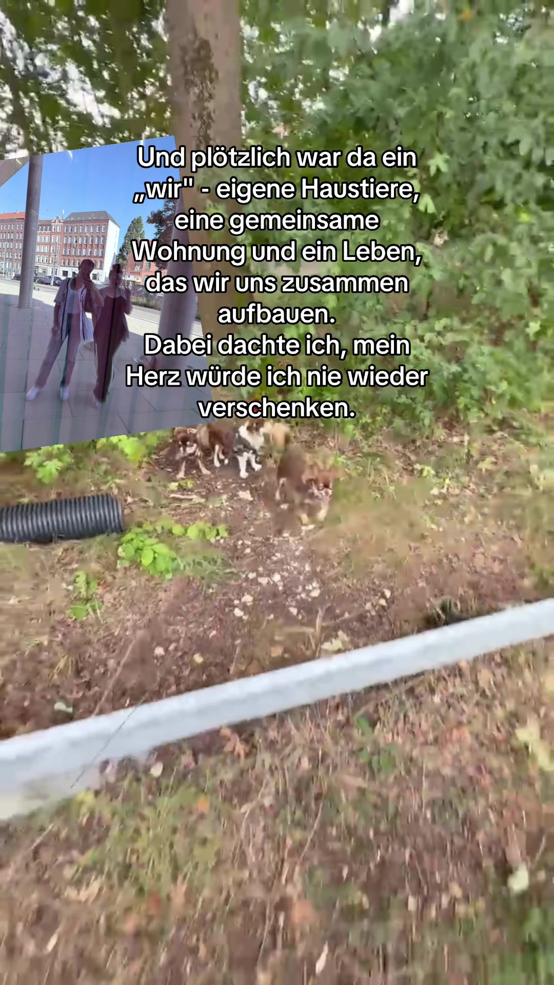 @Hɪᴍʙäʀᴄʜᴇɴ 🦅🇩🇪