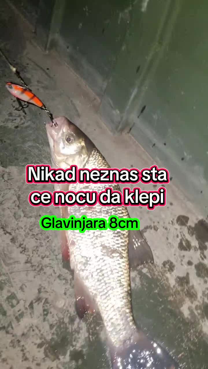 @Fishing.by.balkanac