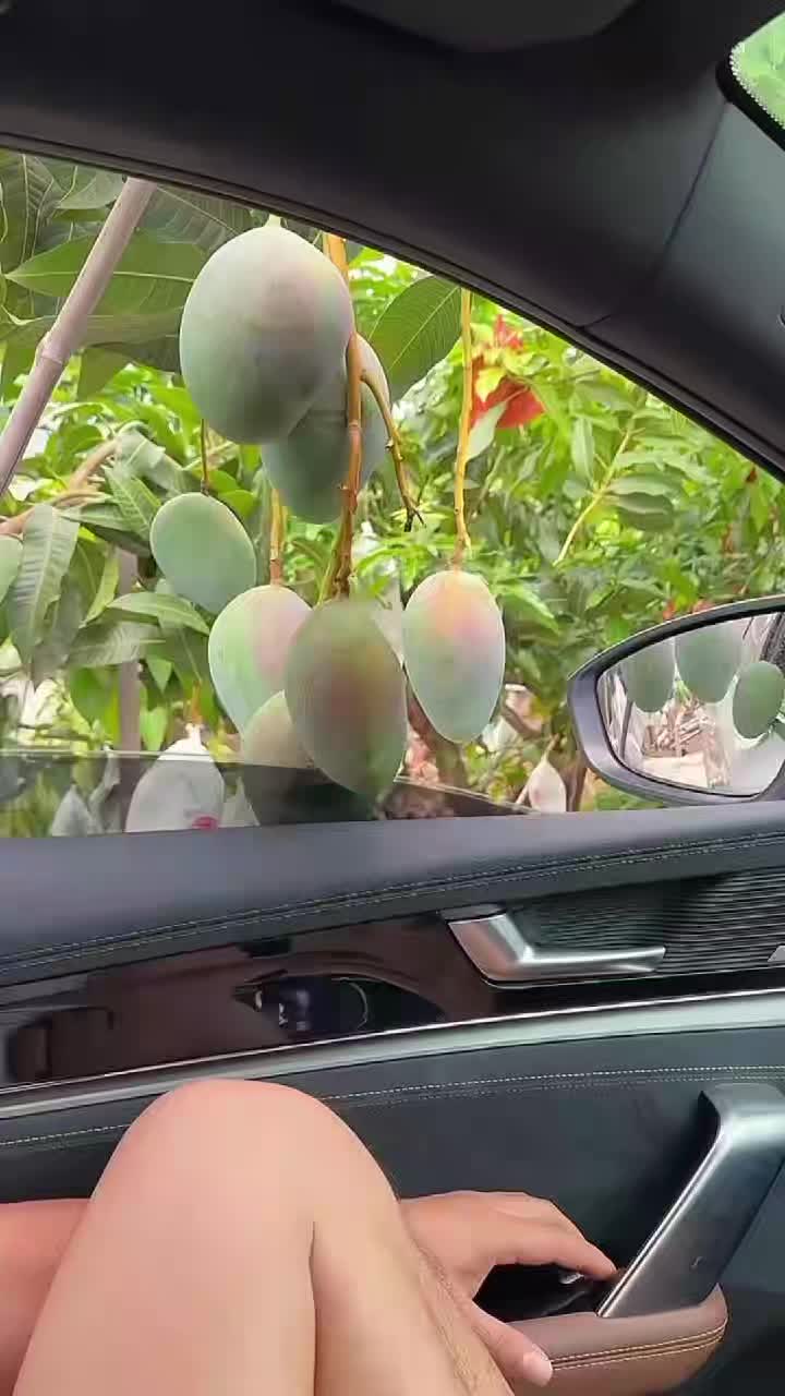 @Fruits🍑 Video