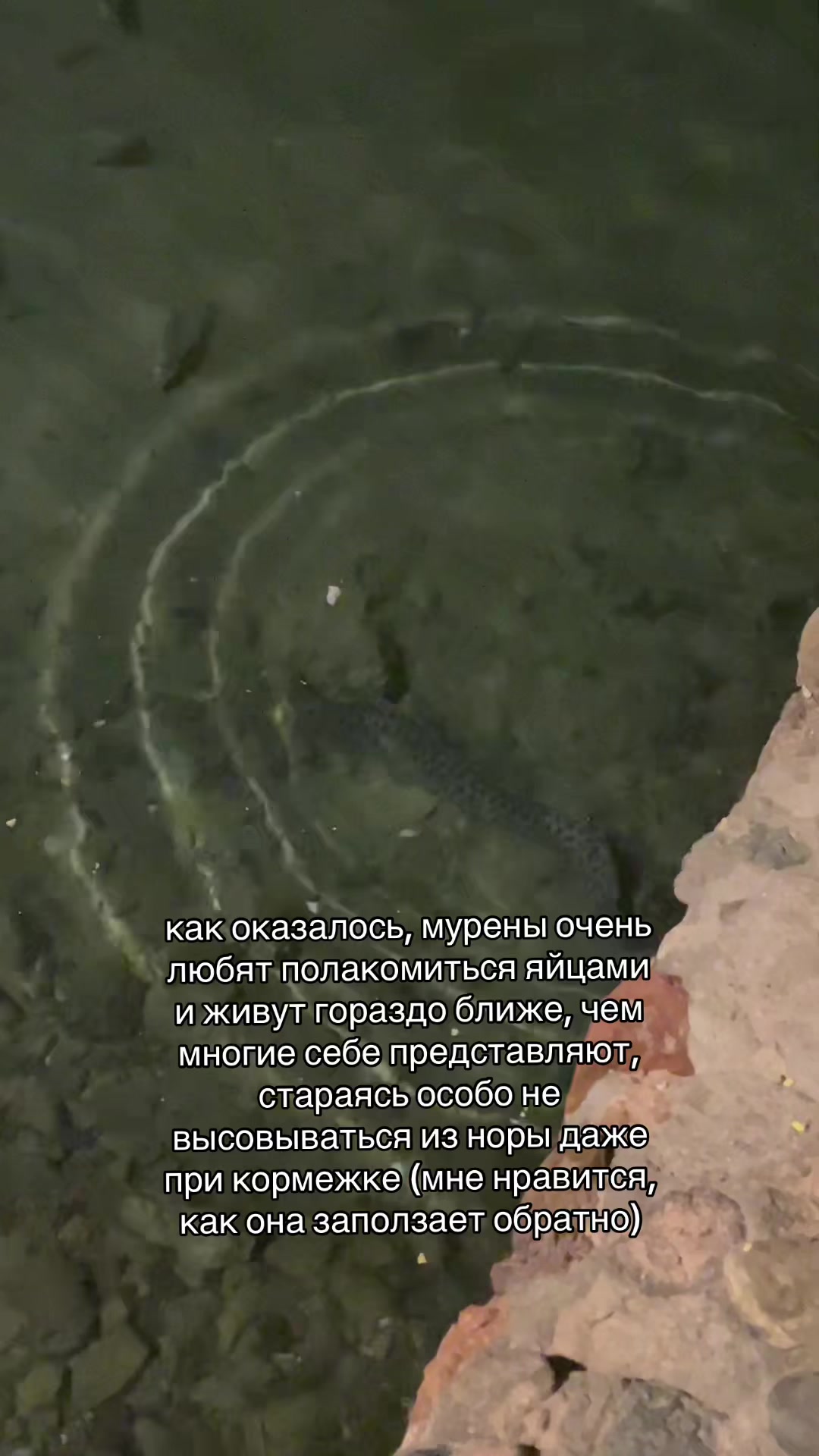 @Sasha Darko