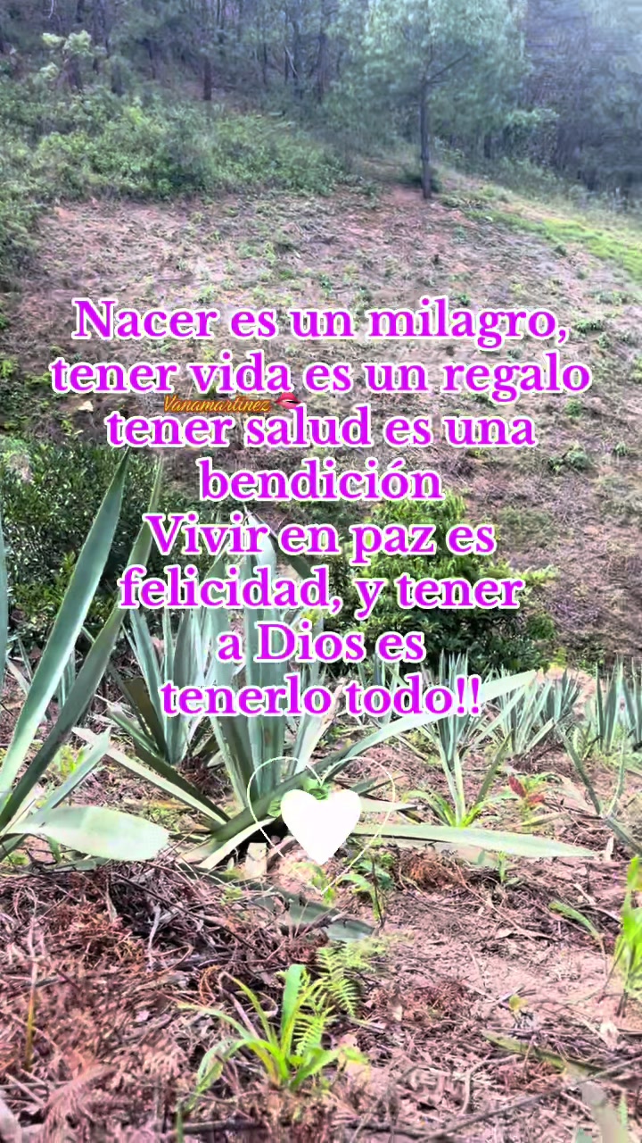 @vanamartinez93🫦