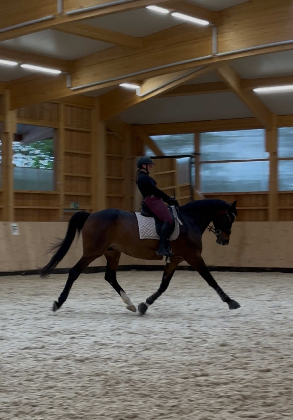 @Horses_rb_
