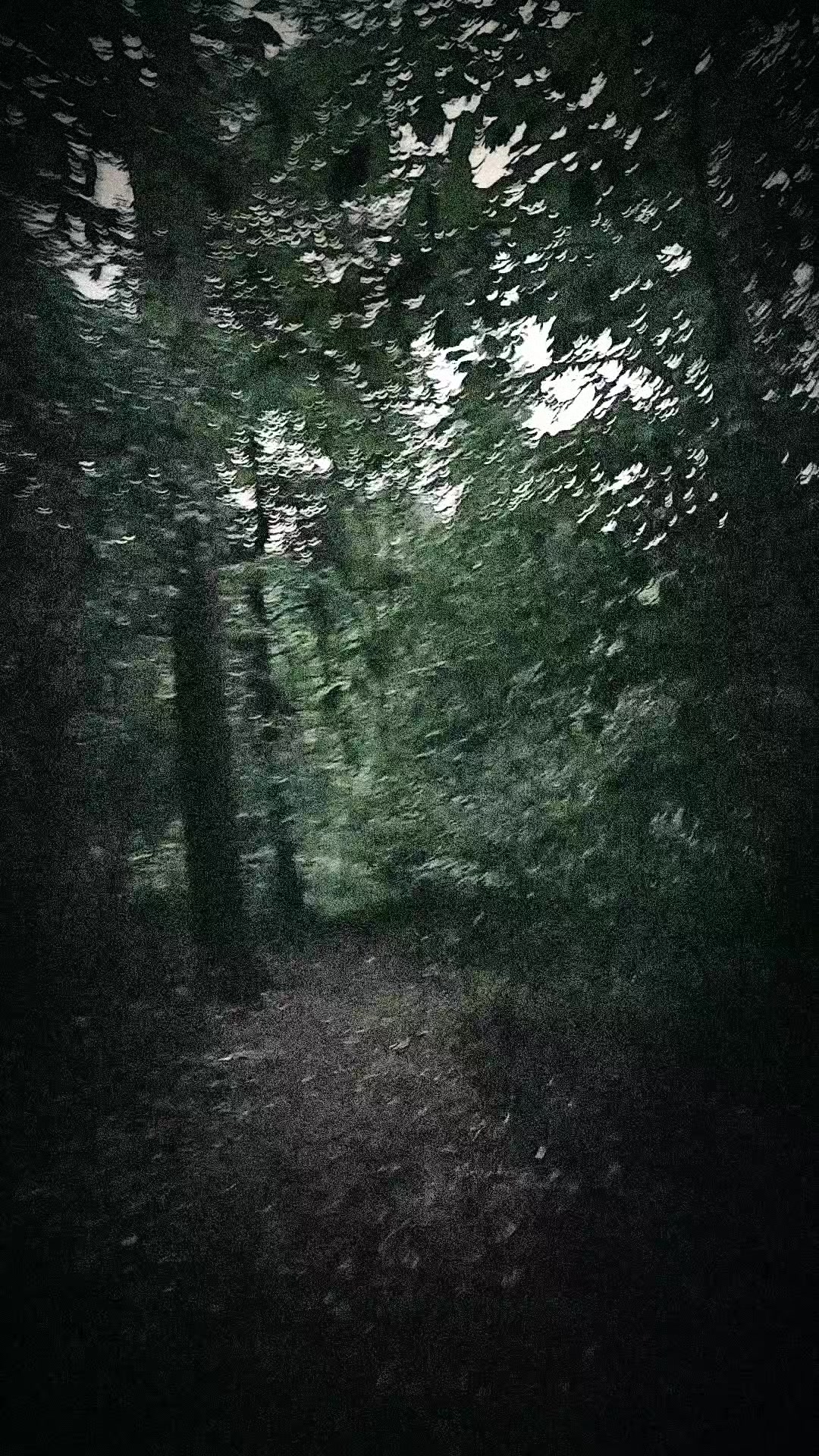 @✞🐈&zwj;⬛𝔅𝔩𝔞𝔠𝔨𝔦𝔢🌲⛤
