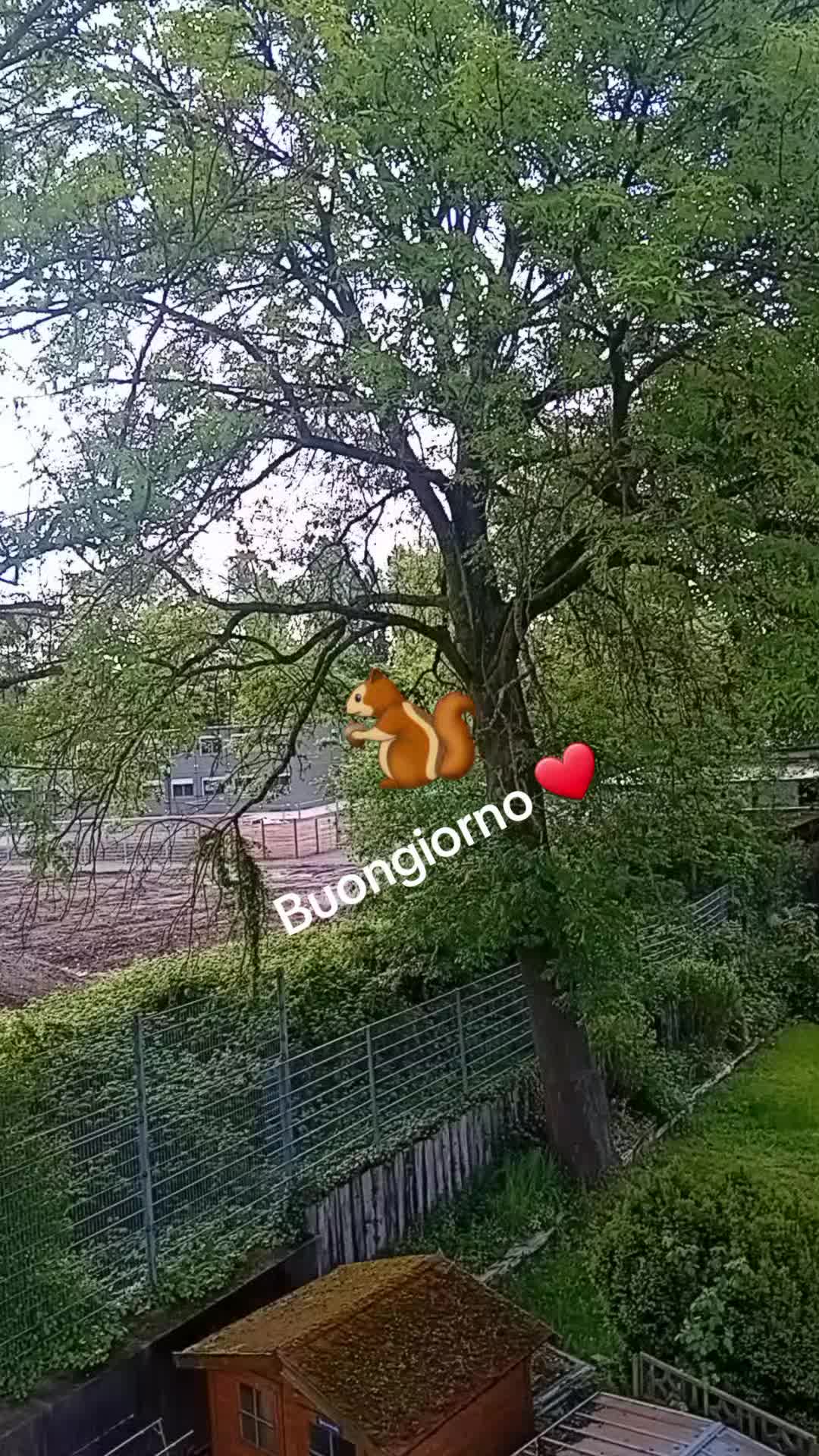 @Patrizia De Bartolo