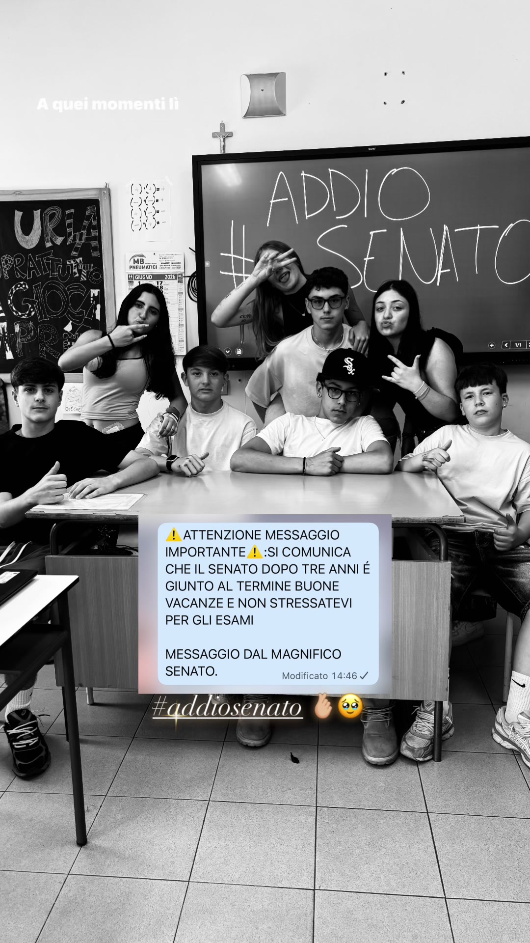 @anita.montini12
