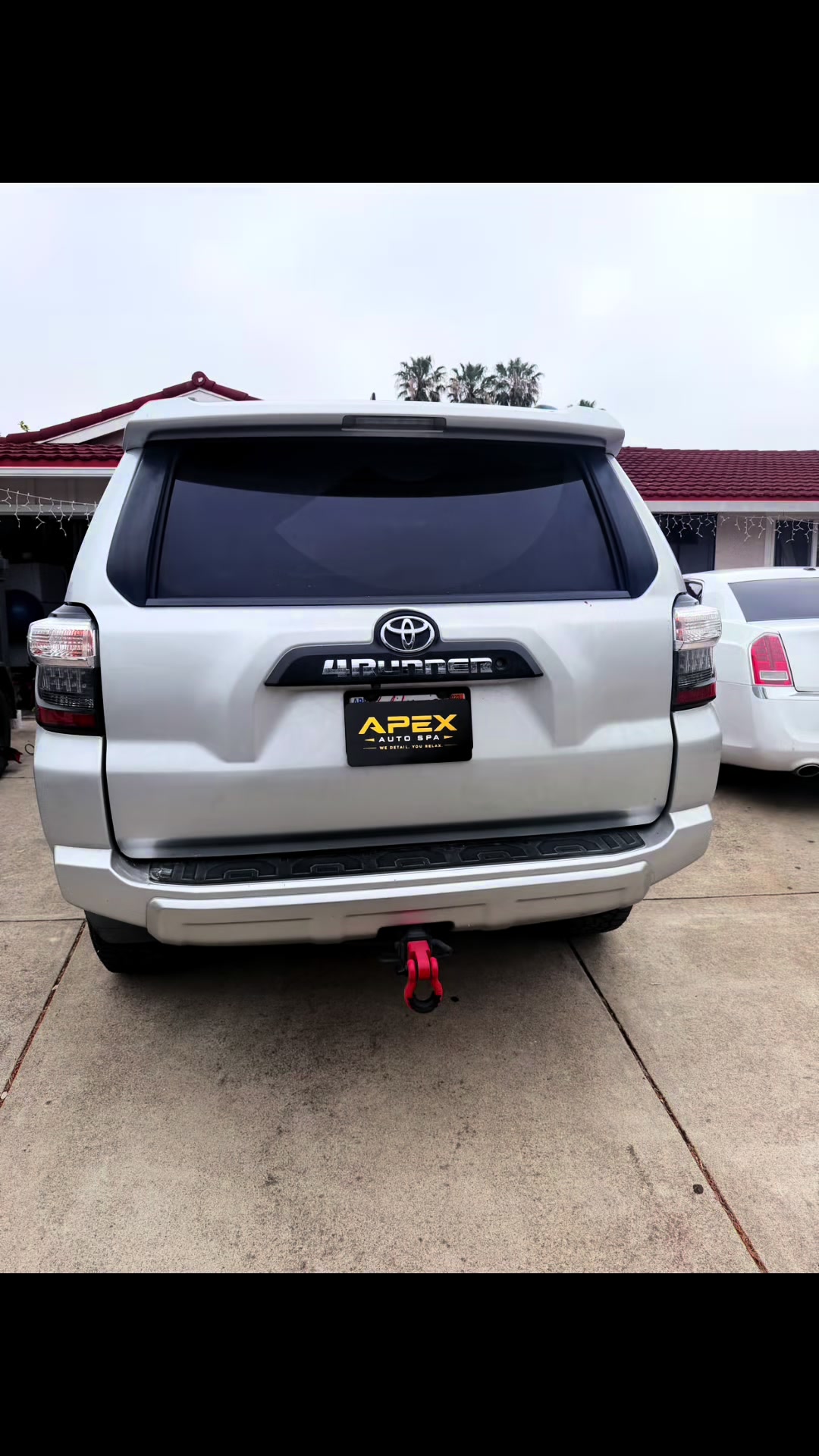 @Apex Auto Spa🦈