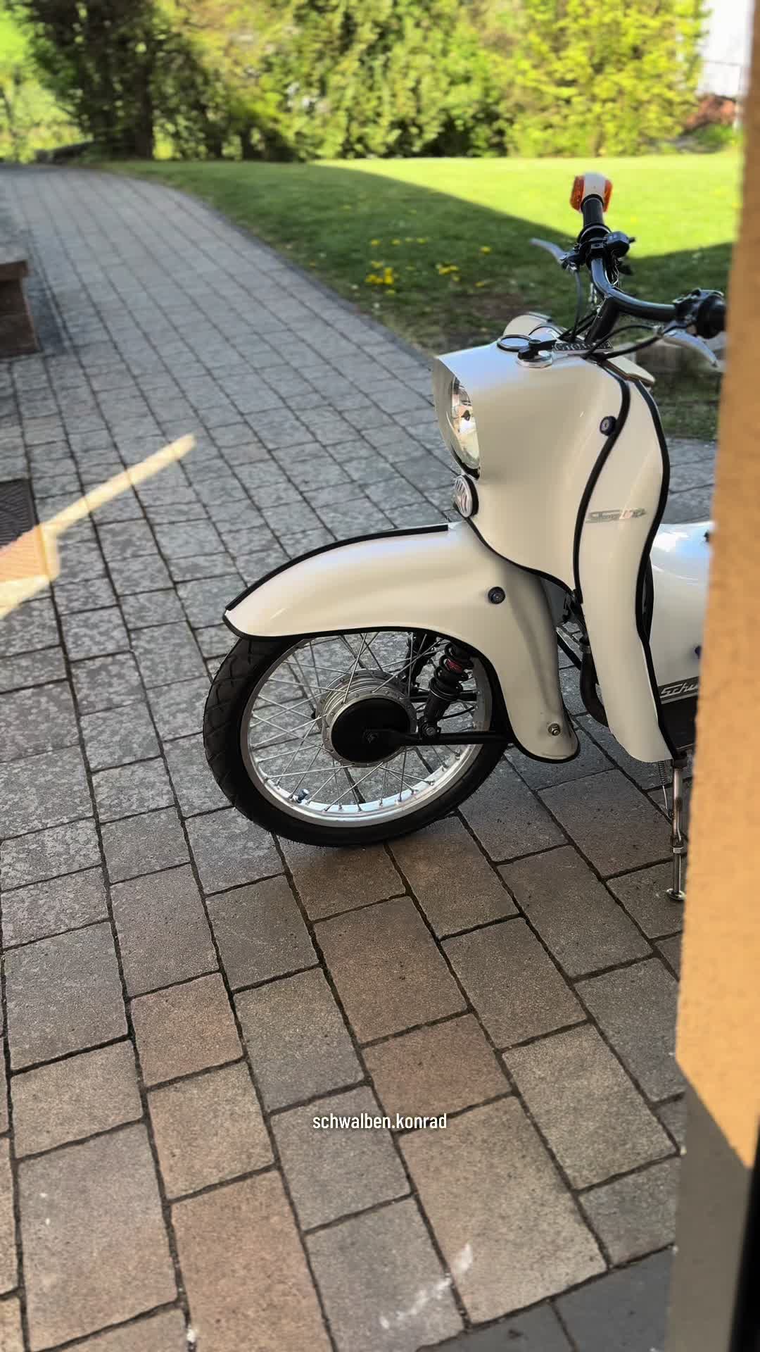 @schwalben.konrad