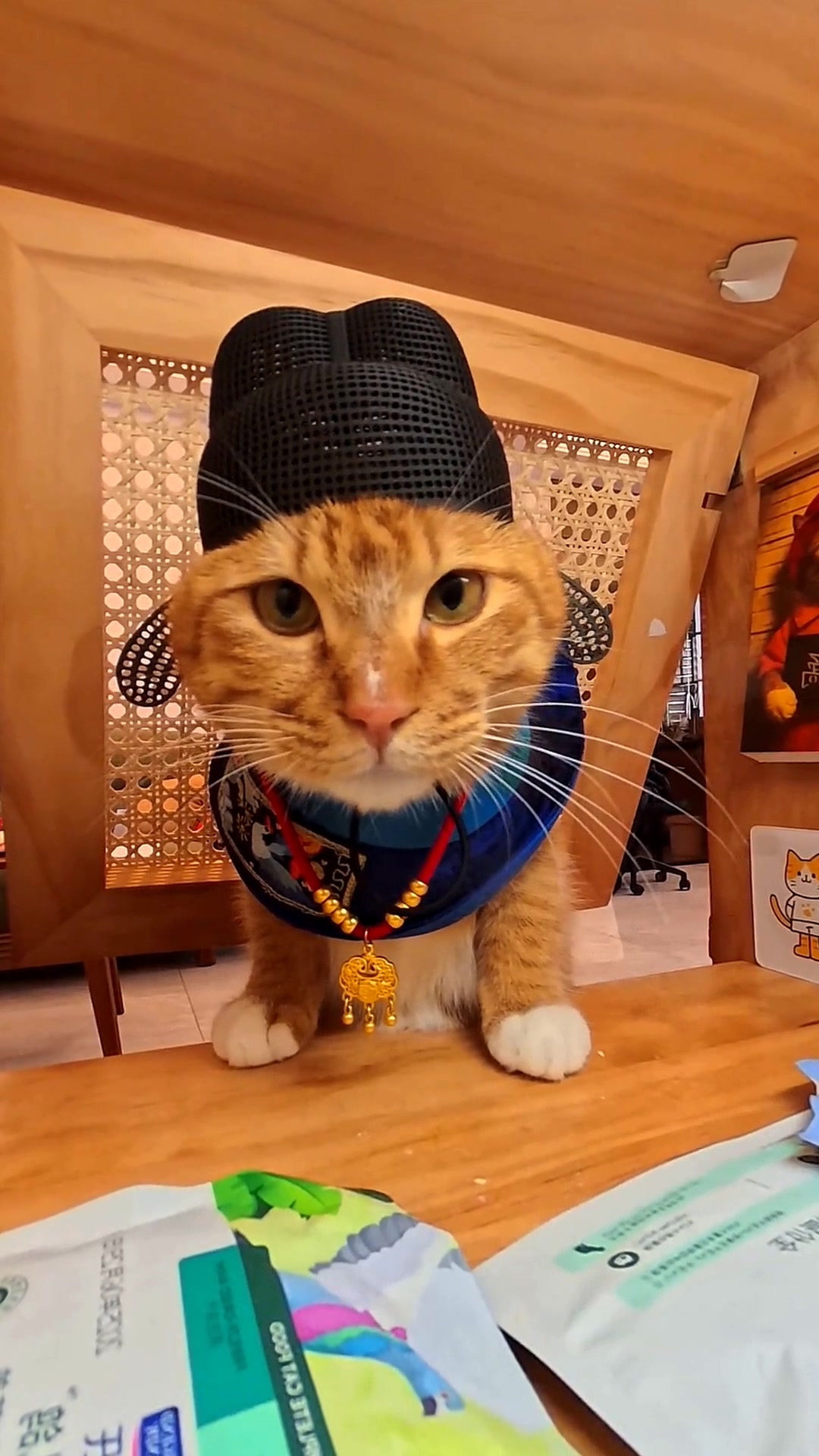 @Jijmeowl