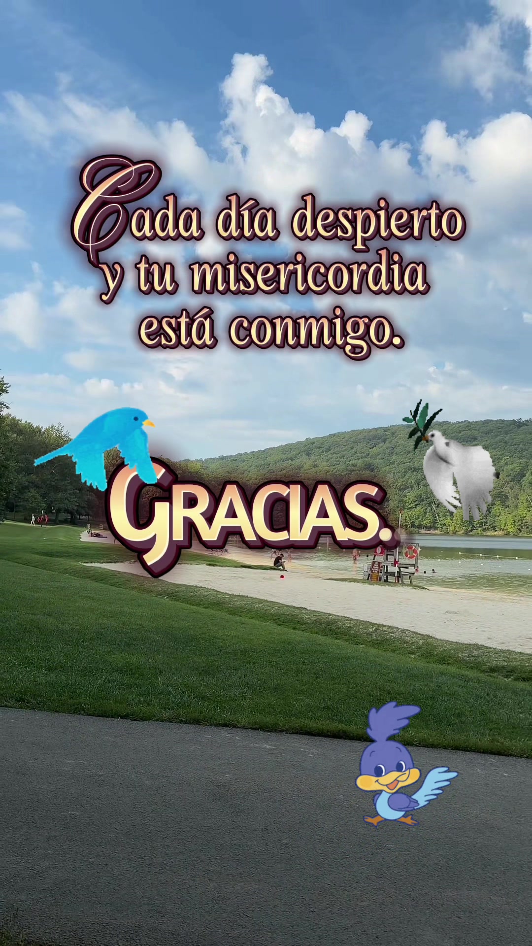 @Maynor Vicente