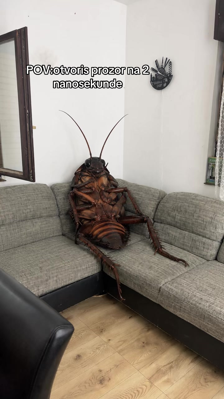 @𐌋 𐌵 𐌊 𐌀 𐌔