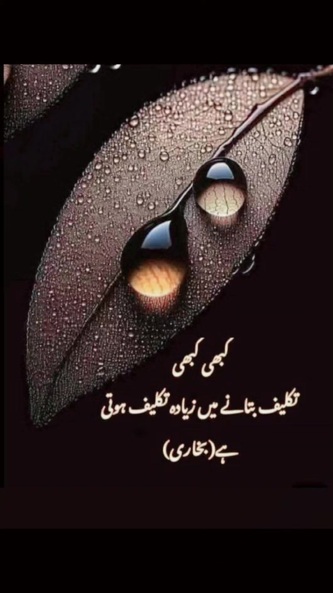 @Mzohan💫