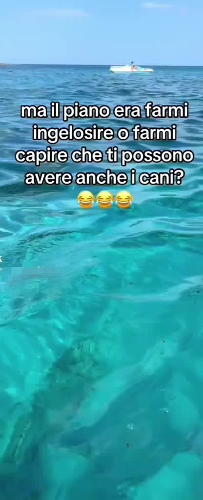 @Antonella Giarratana