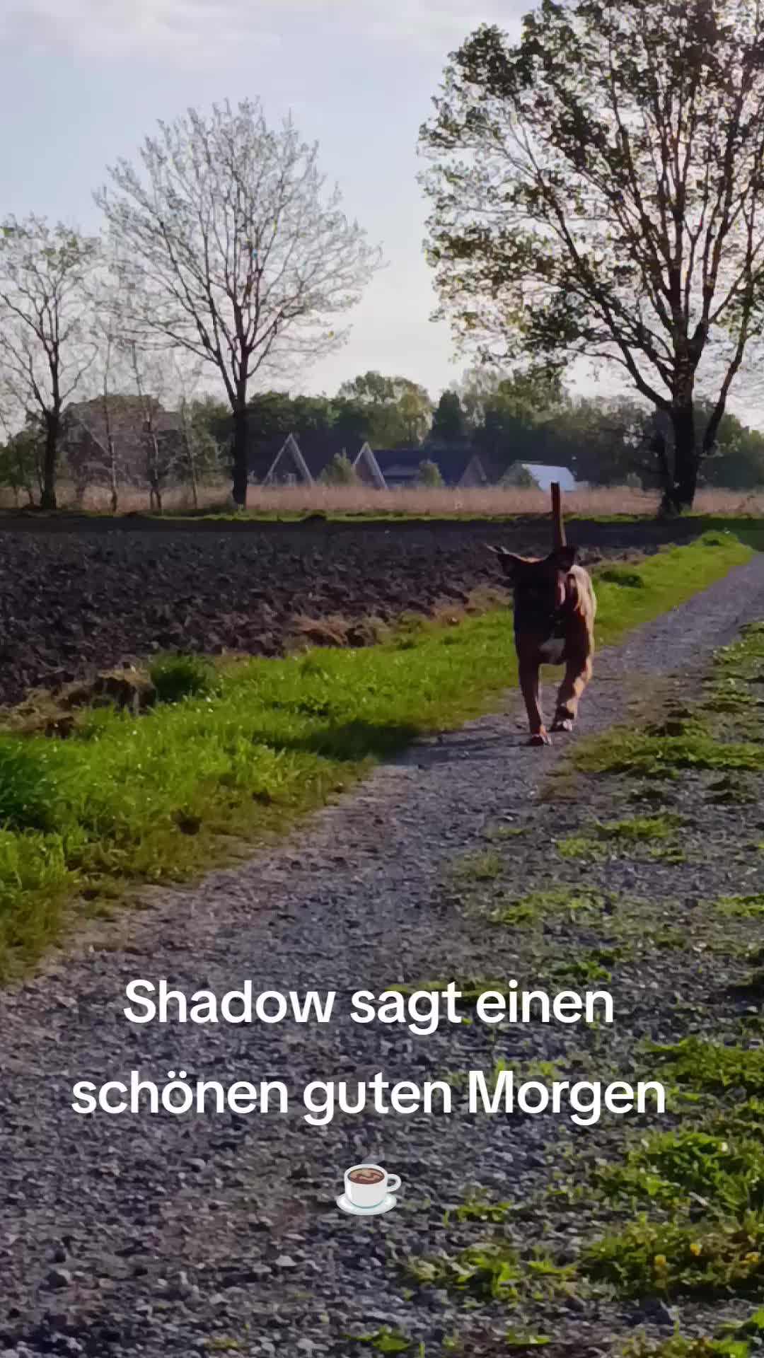 @⭐Biggi und Shadow ⭐