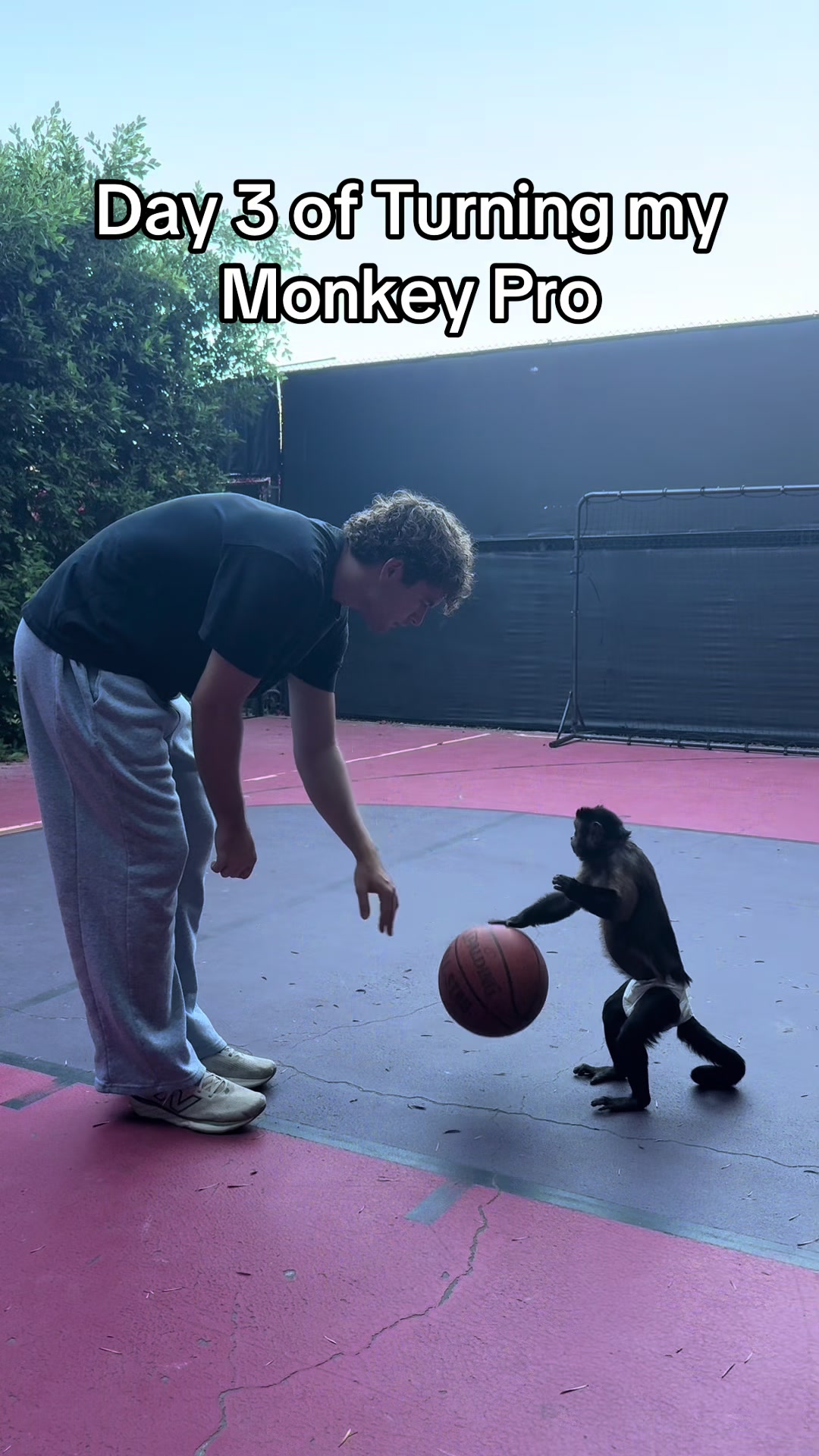 @dexthemonkeyy