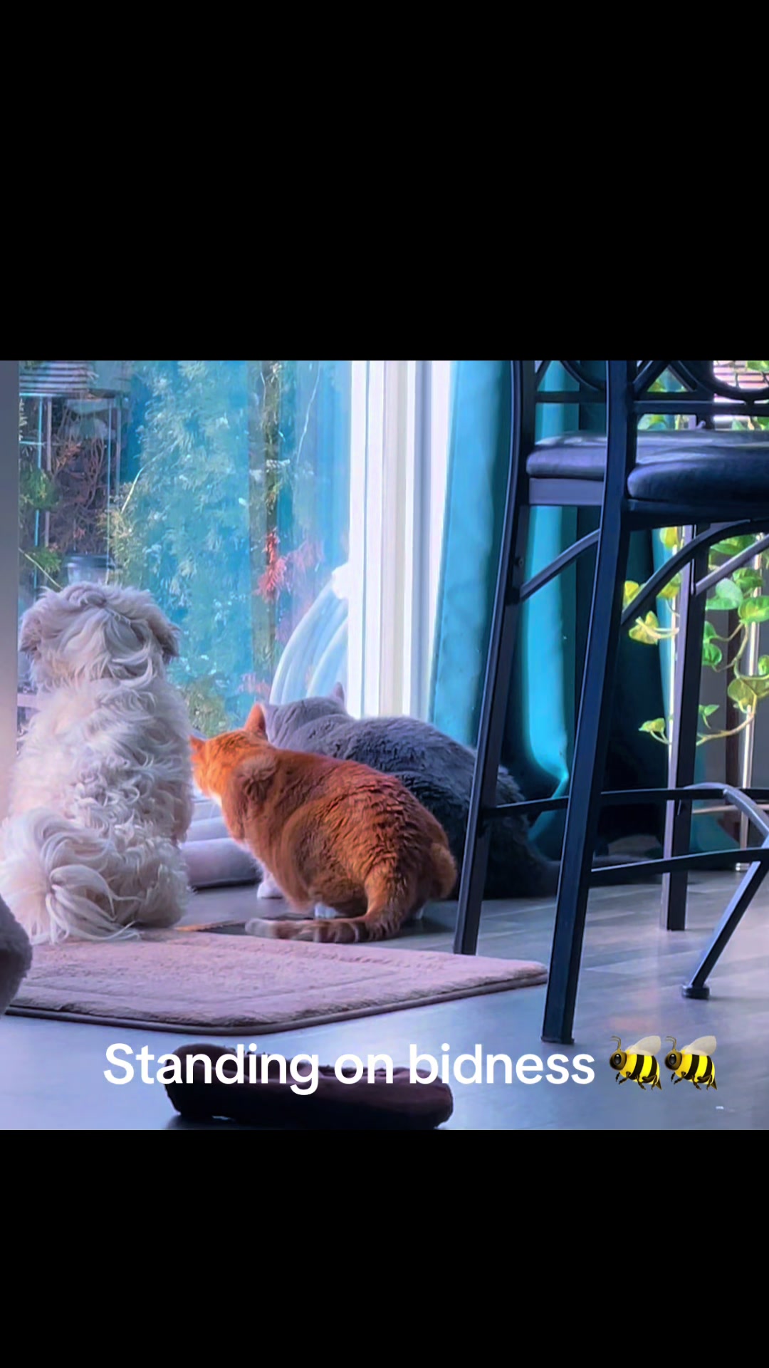@zenfullybee