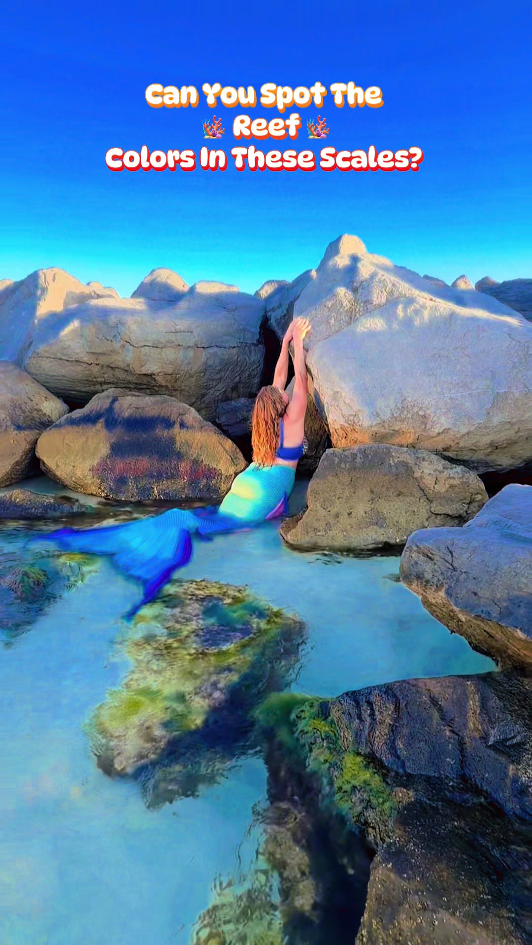 @Gulf Coast Mermaid 🧜&zwj;♀️