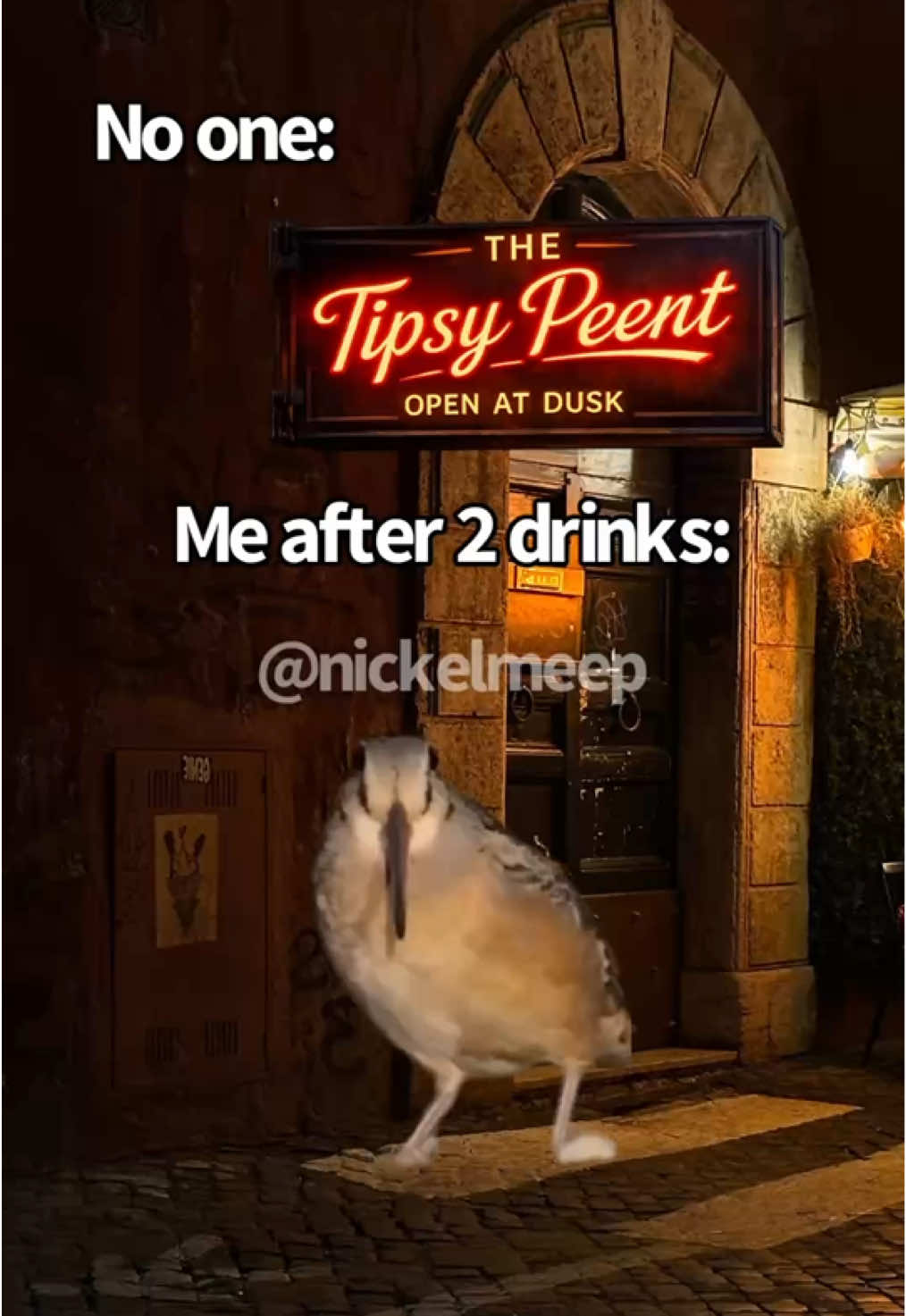 @nickelmeep