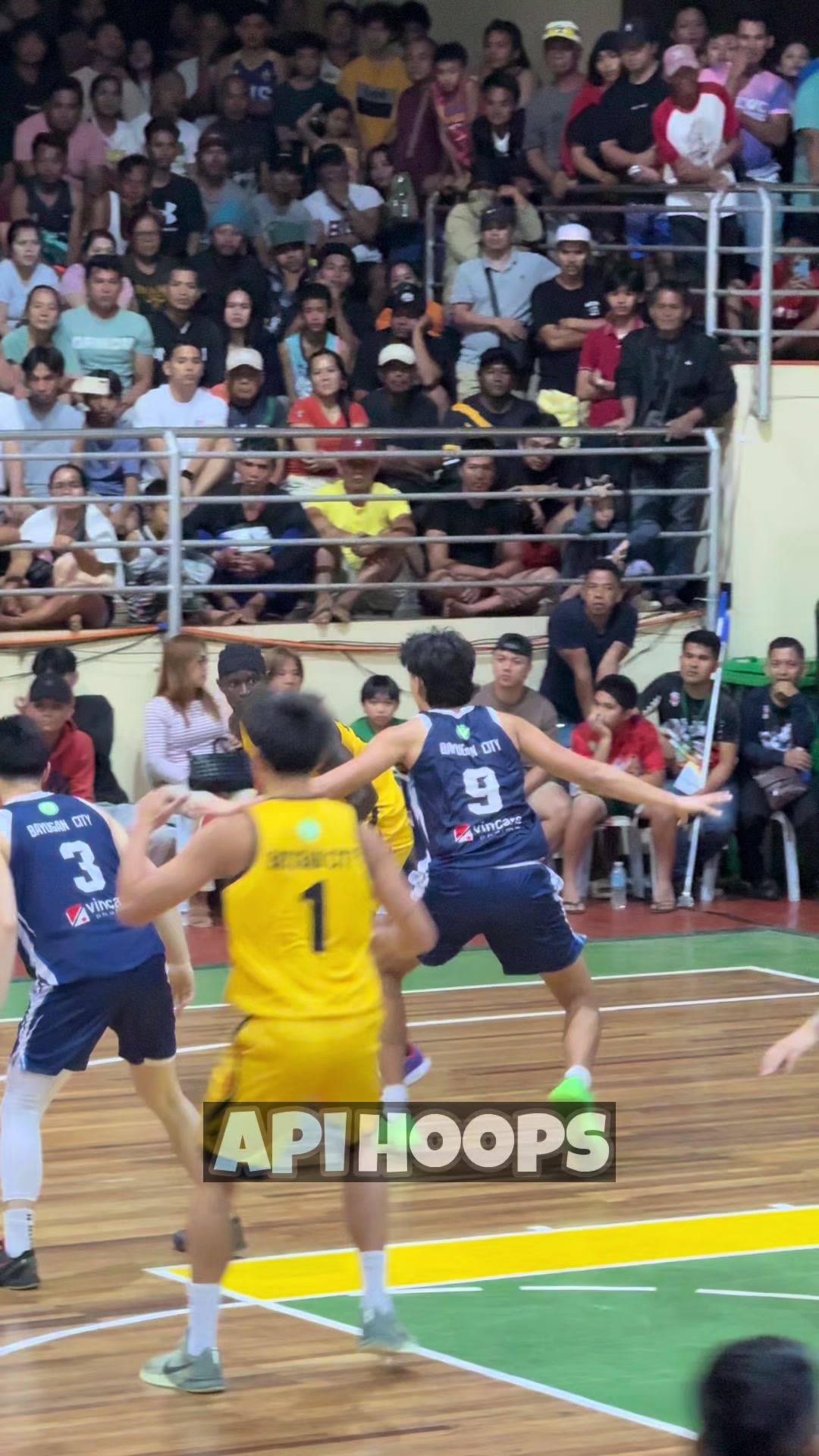 @apihoops_