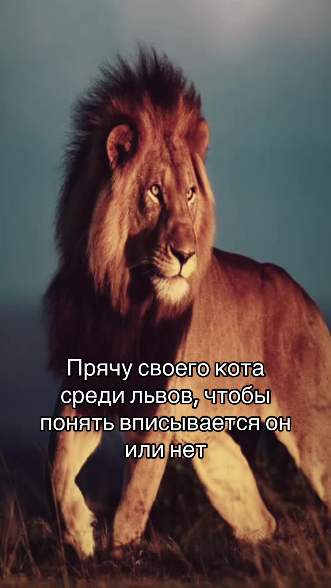 @^^дашуля^^