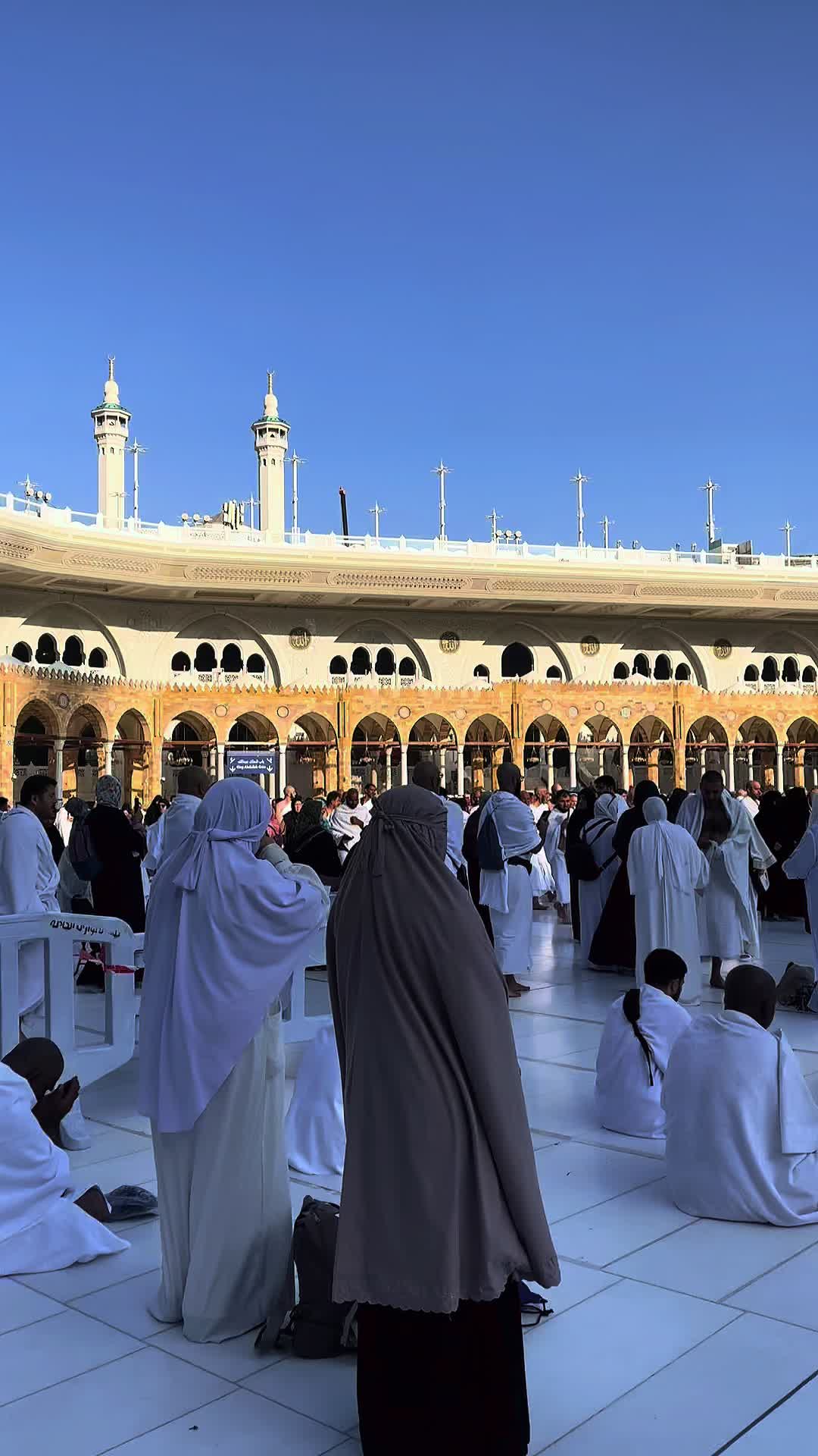@𐙚 نوال نورالدين 𐙚