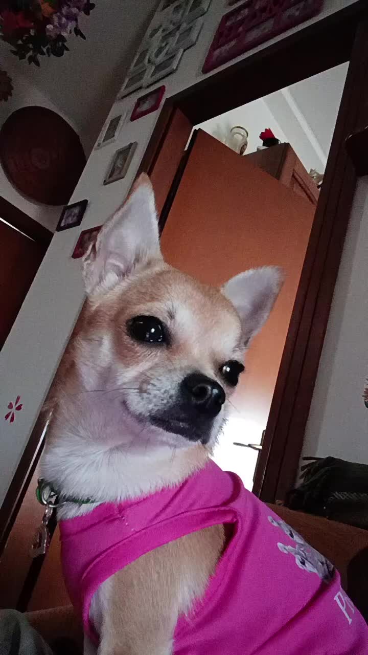 @Ilaria🦩💚🐿️